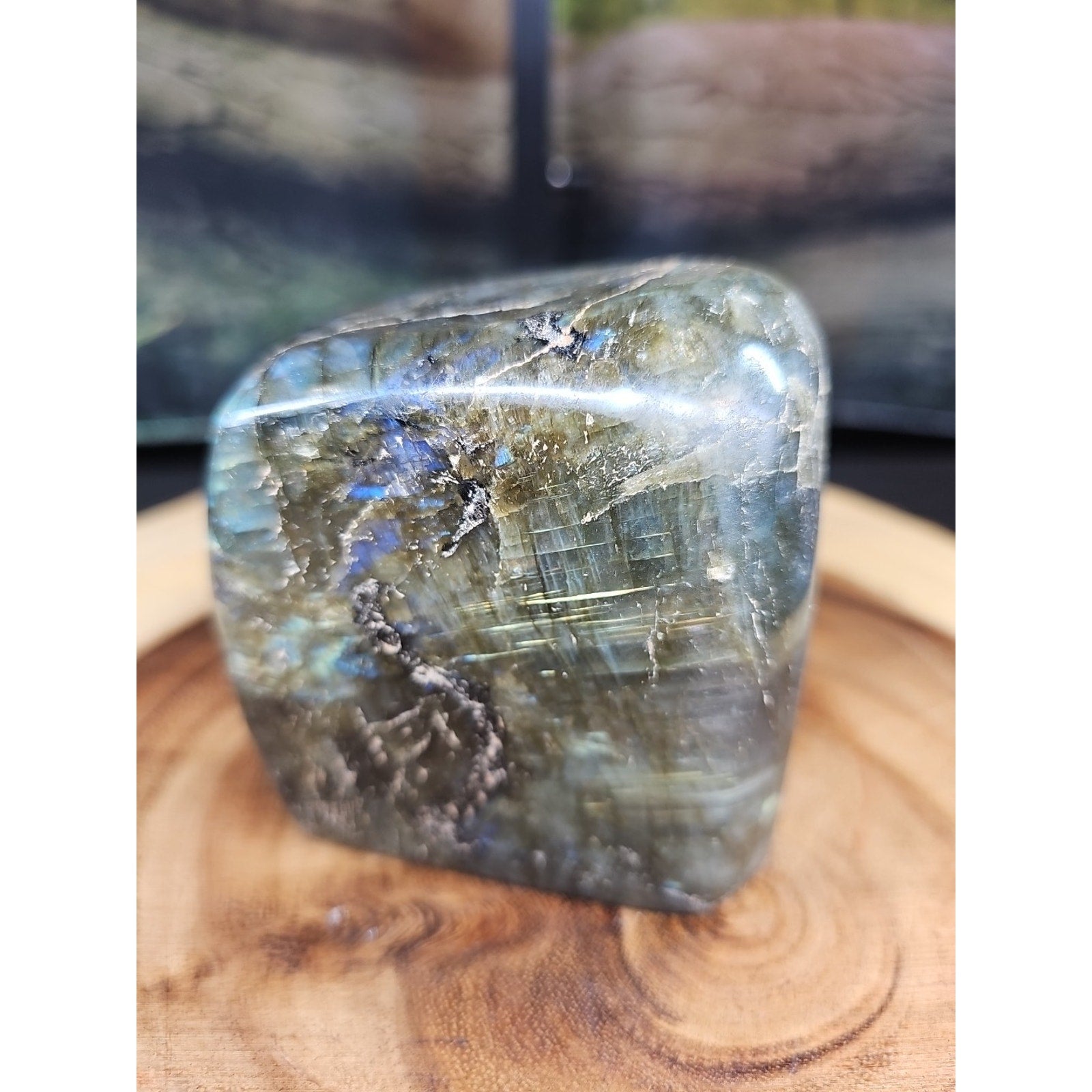 1.60lbs Natural Rainbow Labradorite Crystal Gem Spectrolite Stone by CrystalCloud Company