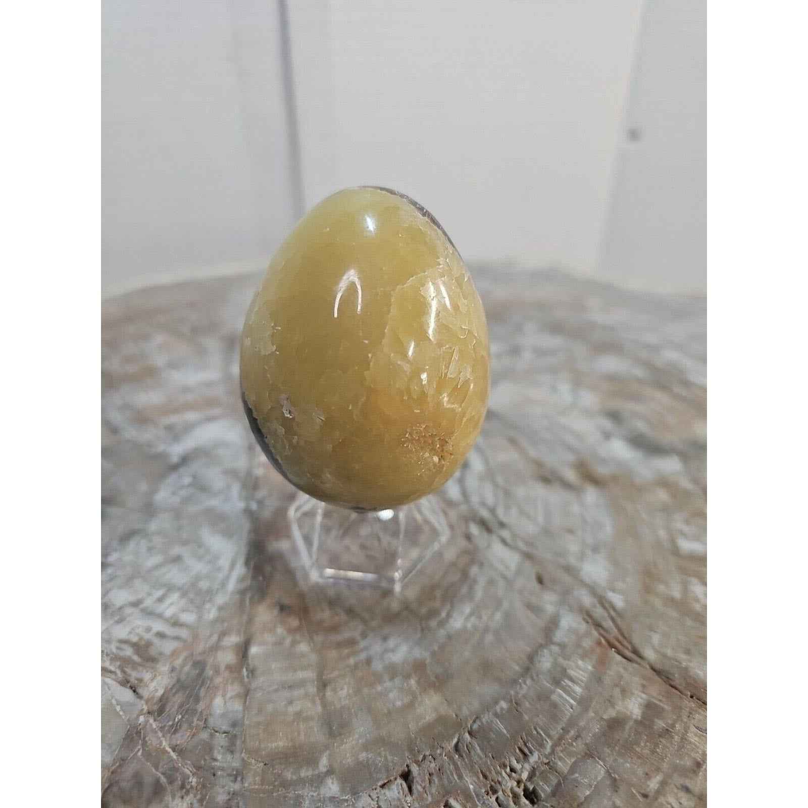 9.0oz Natural Septarian Dragon quartz Crystal egg Mineral Specimen W/Stand by natural