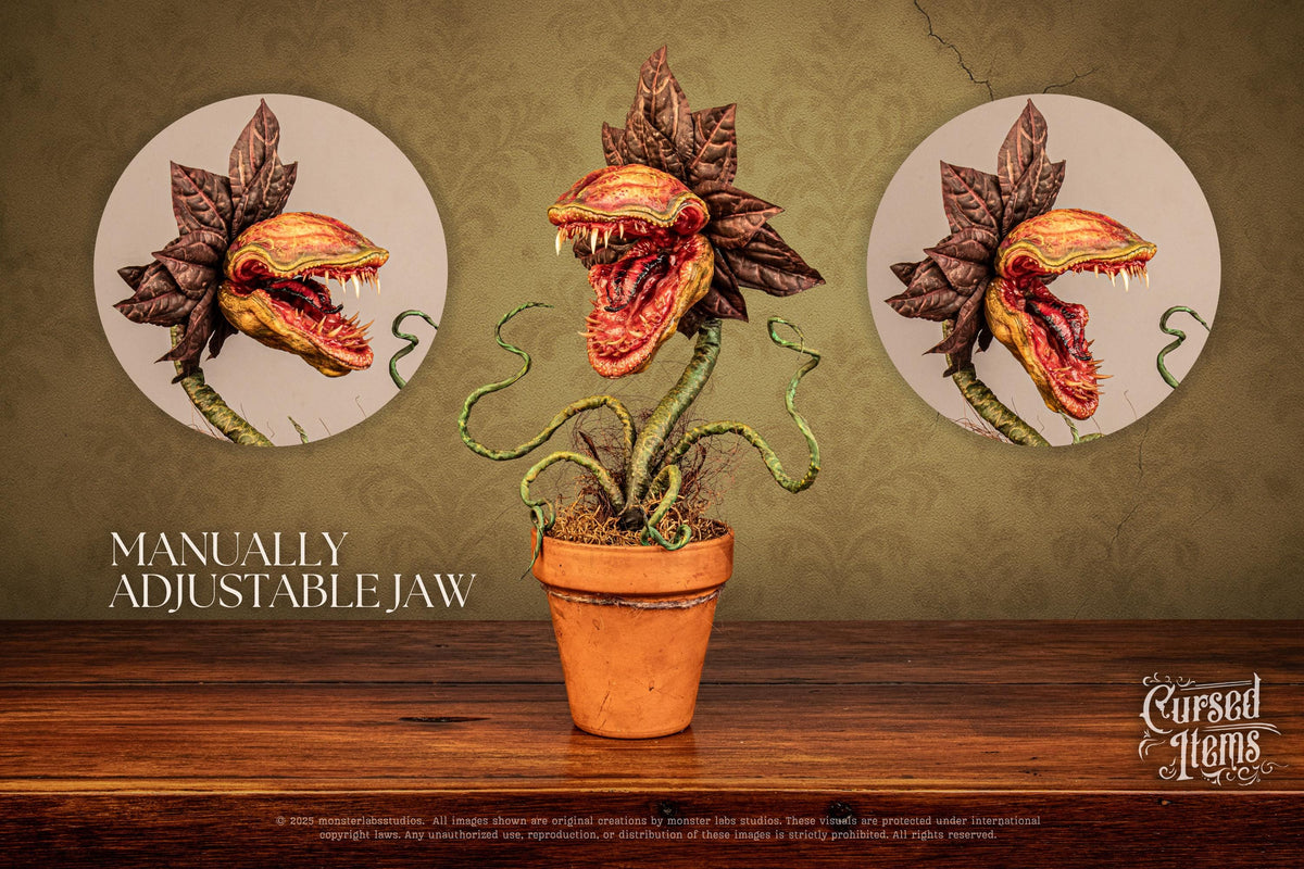 Carnivorous Plant