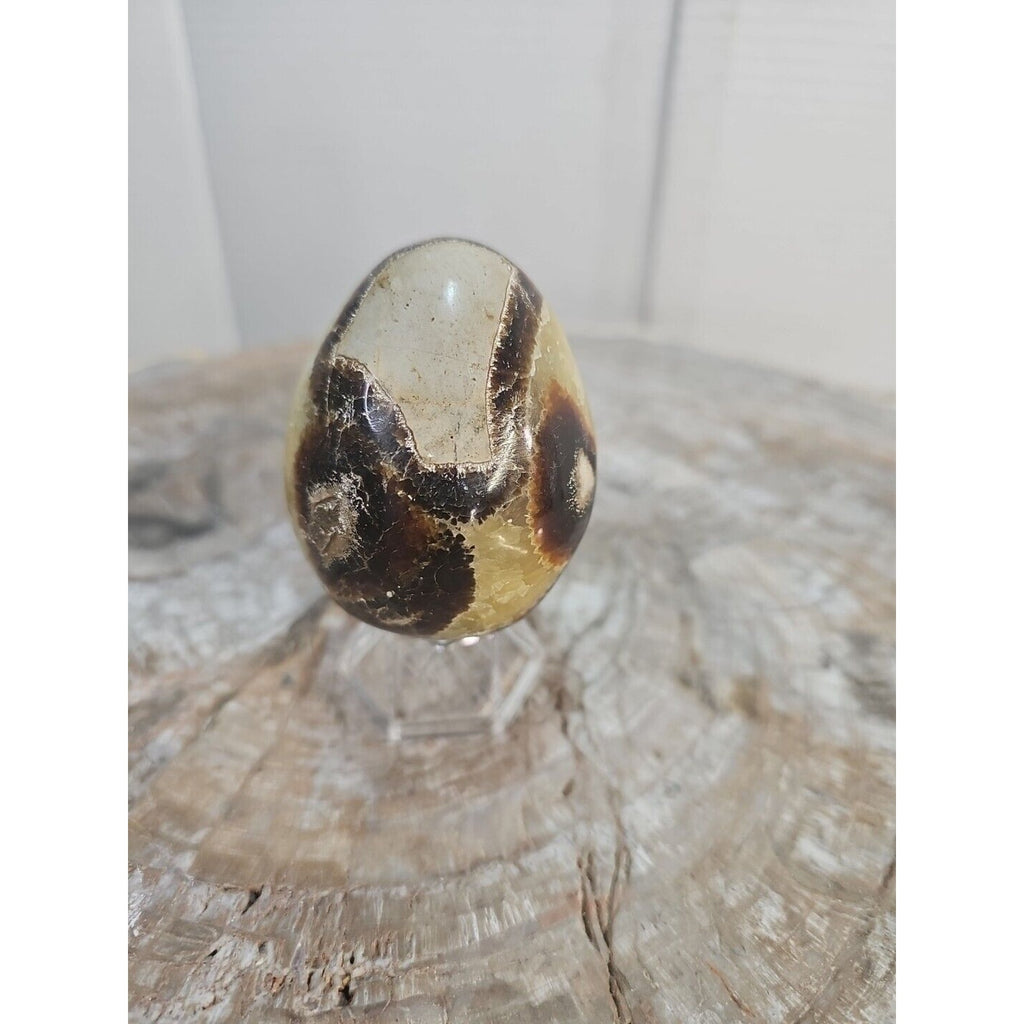 9.0oz Natural Septarian Dragon quartz Crystal egg Mineral Specimen W/Stand by CrystalCloud Company