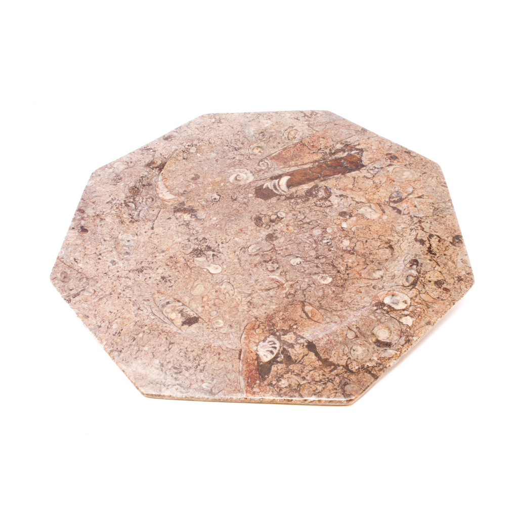 Ammonite Orthoceras Seabed Octagonal Charger Plate