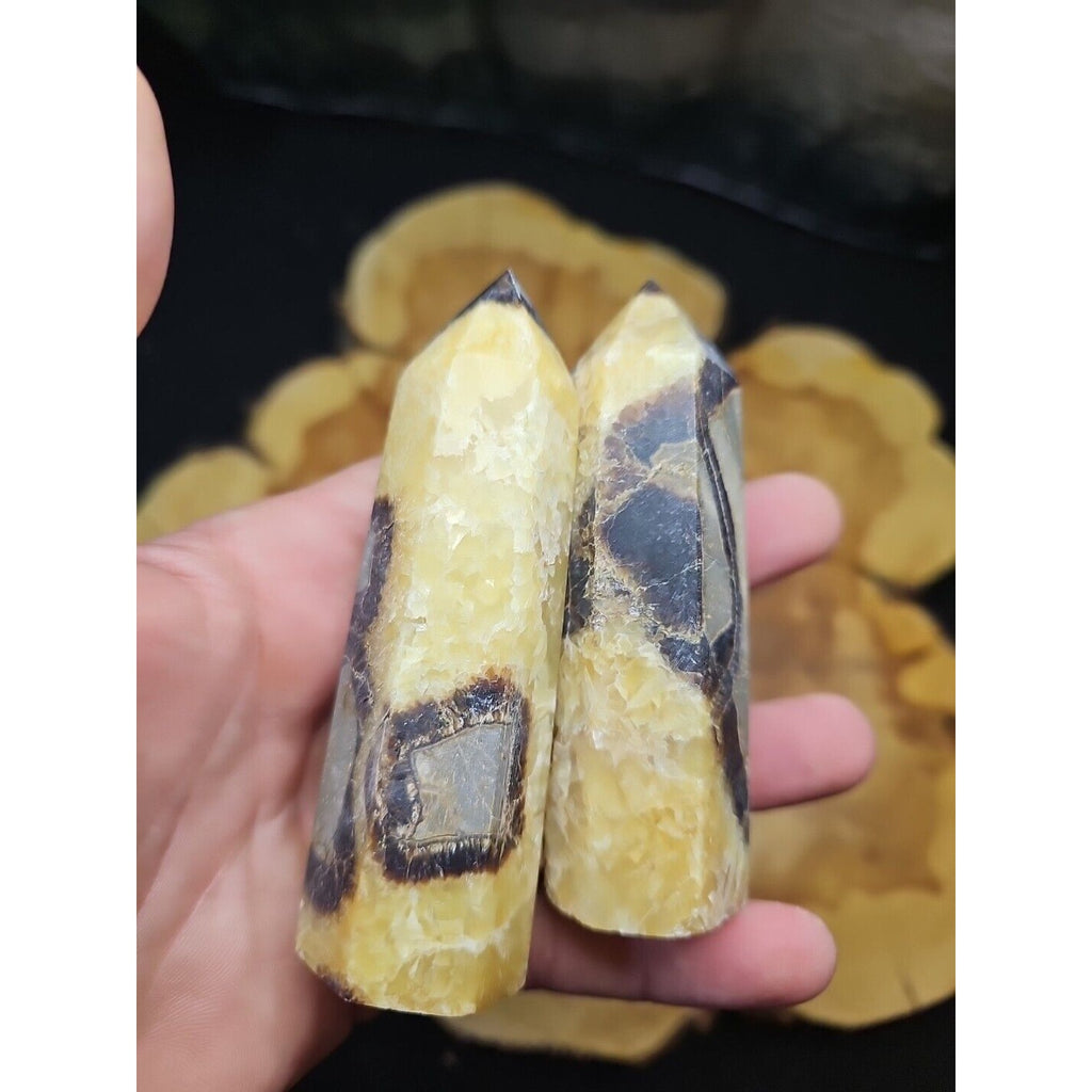 .59LB 2Pcs Natural Dragon Septarian Geode Quartz Cluster Crystal Point Healing by CrystalCloud Company