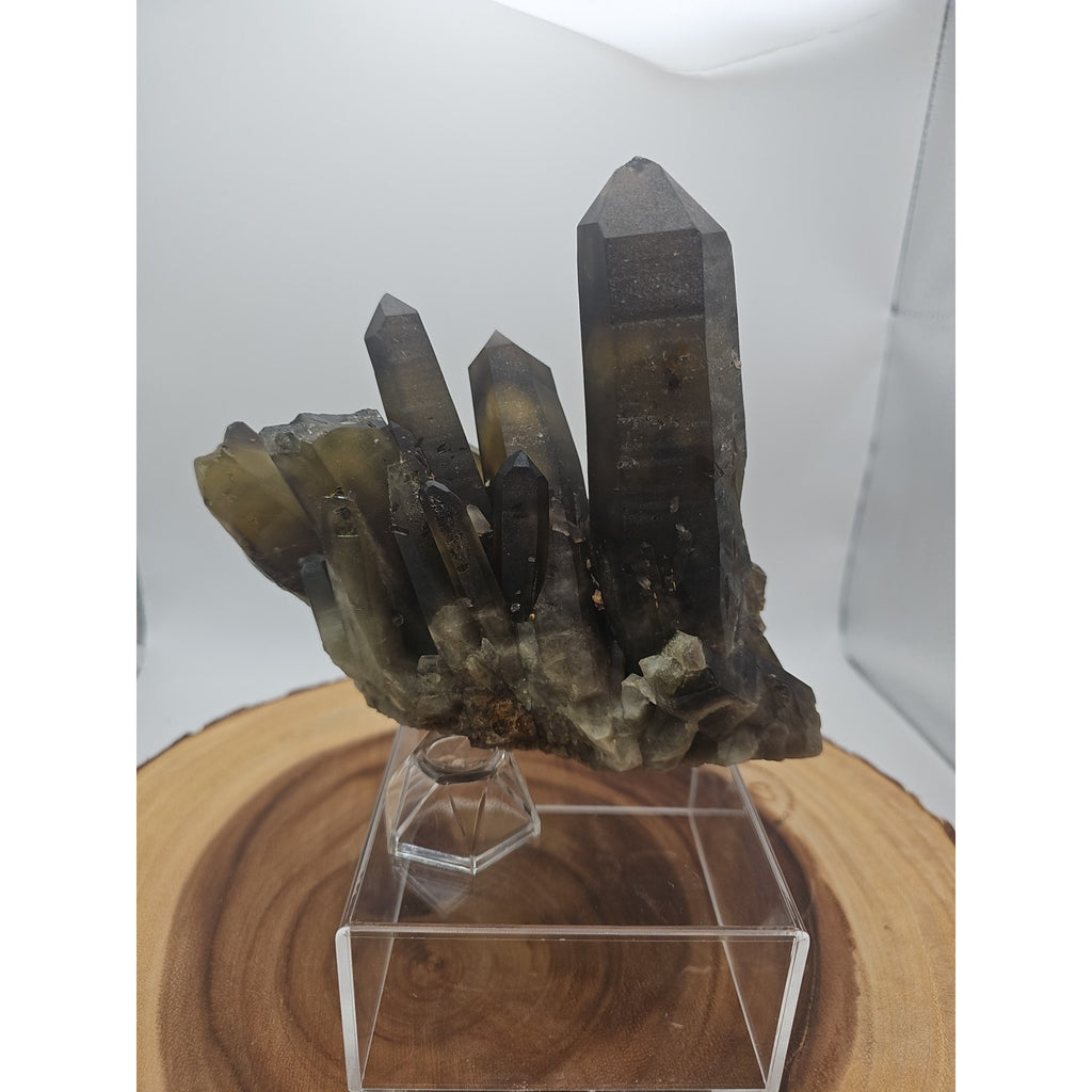 2.77LB Top rare natural beautiful black quartz crystal cluster mineral sample - by CrystalCloud Company
