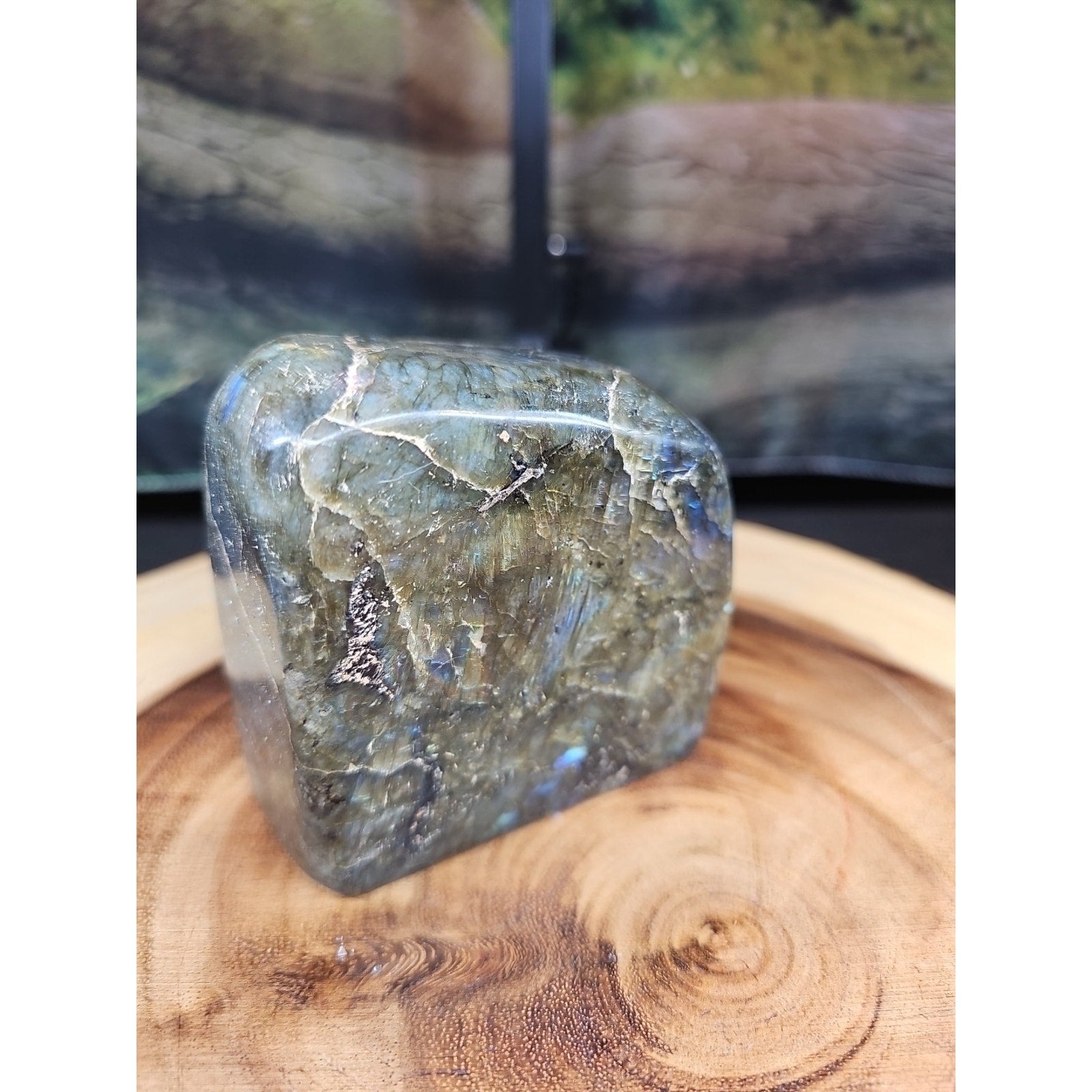 1.60lbs Natural Rainbow Labradorite Crystal Gem Spectrolite Stone by CrystalCloud Company