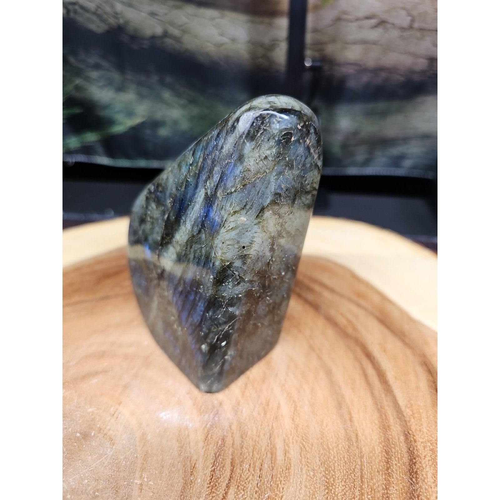 1.45LB 1Pcs Natural Rainbow Labradorite Crystal Spectrolite Stone by CrystalCloud Company