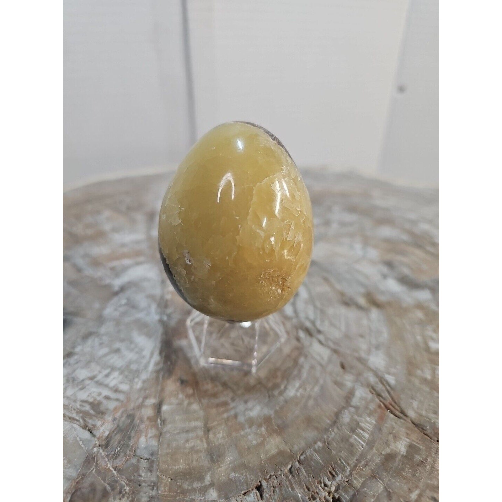 9.0oz Natural Septarian Dragon quartz Crystal egg Mineral Specimen W/Stand by CrystalCloud Company
