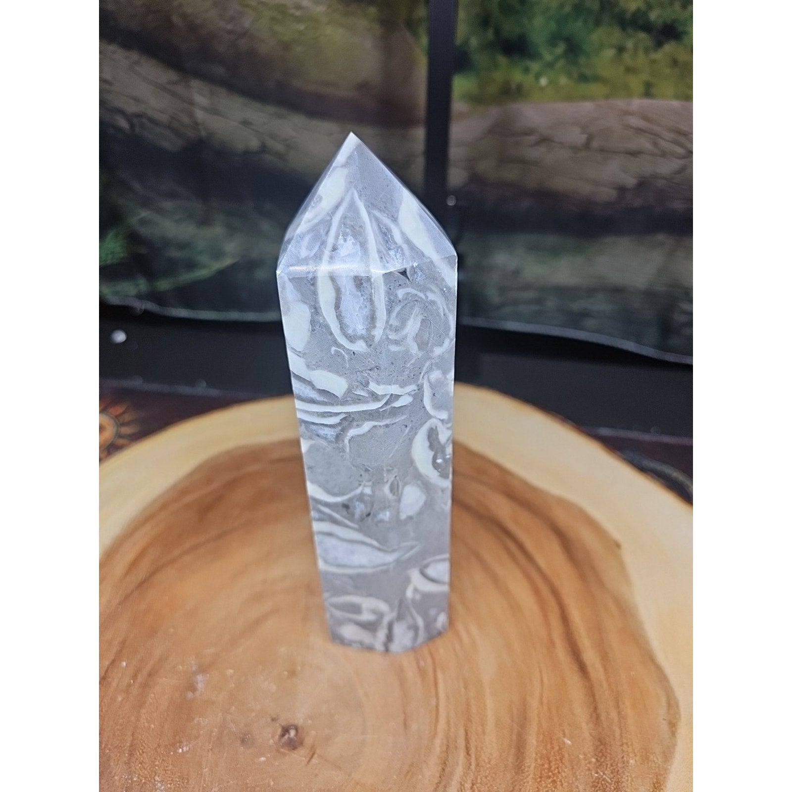 1000 Eye Jasper Crystal Tower — 1.76 lbs, 7.5 inches, Madagascar | CrystalCloud Company by CrystalCloud Company