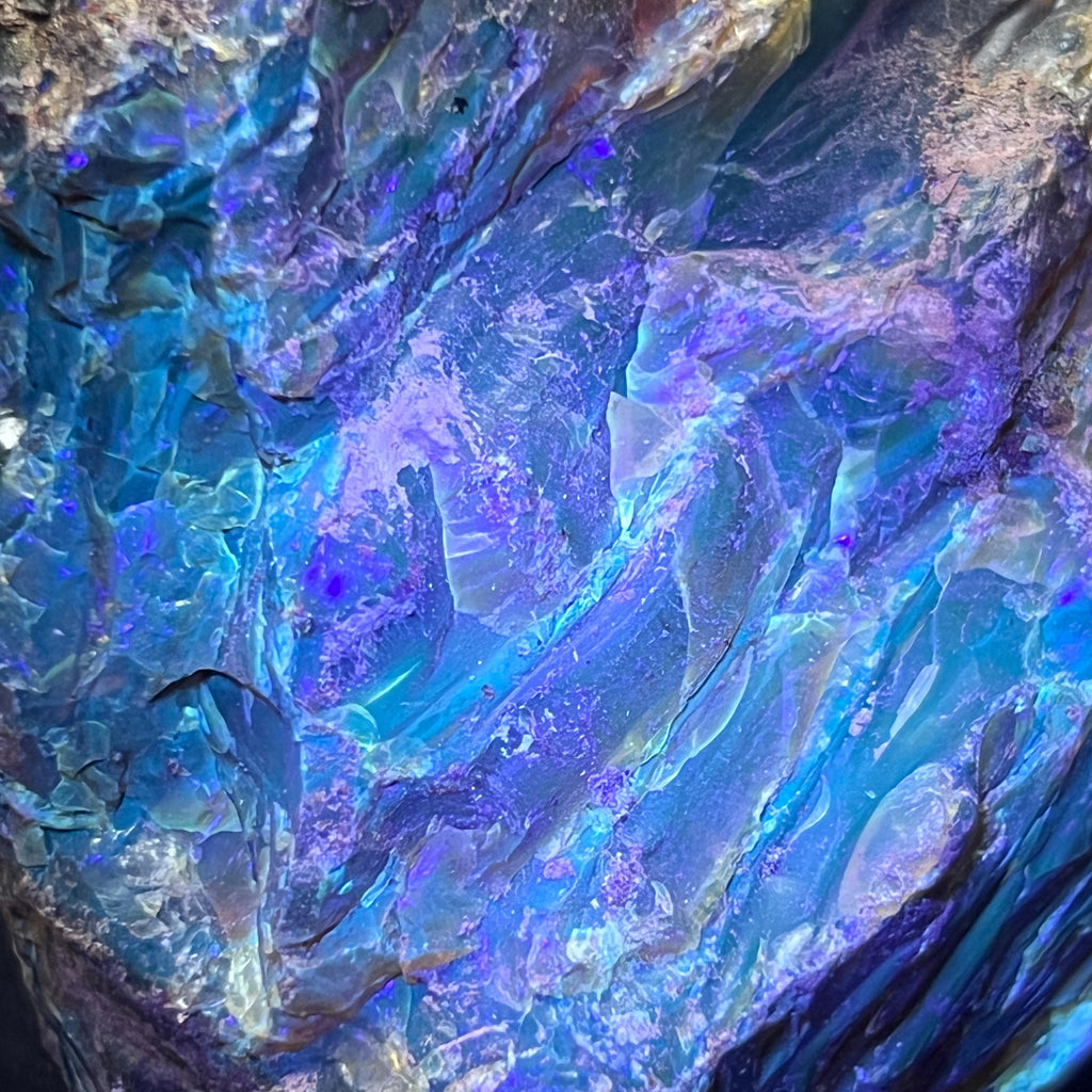 Black Amber Fossilized Tree Resin Mixed Sizes Rough Raw Stones (By The Piece or Pound)(UV Reactive) Wholesale by Amazing Crystals