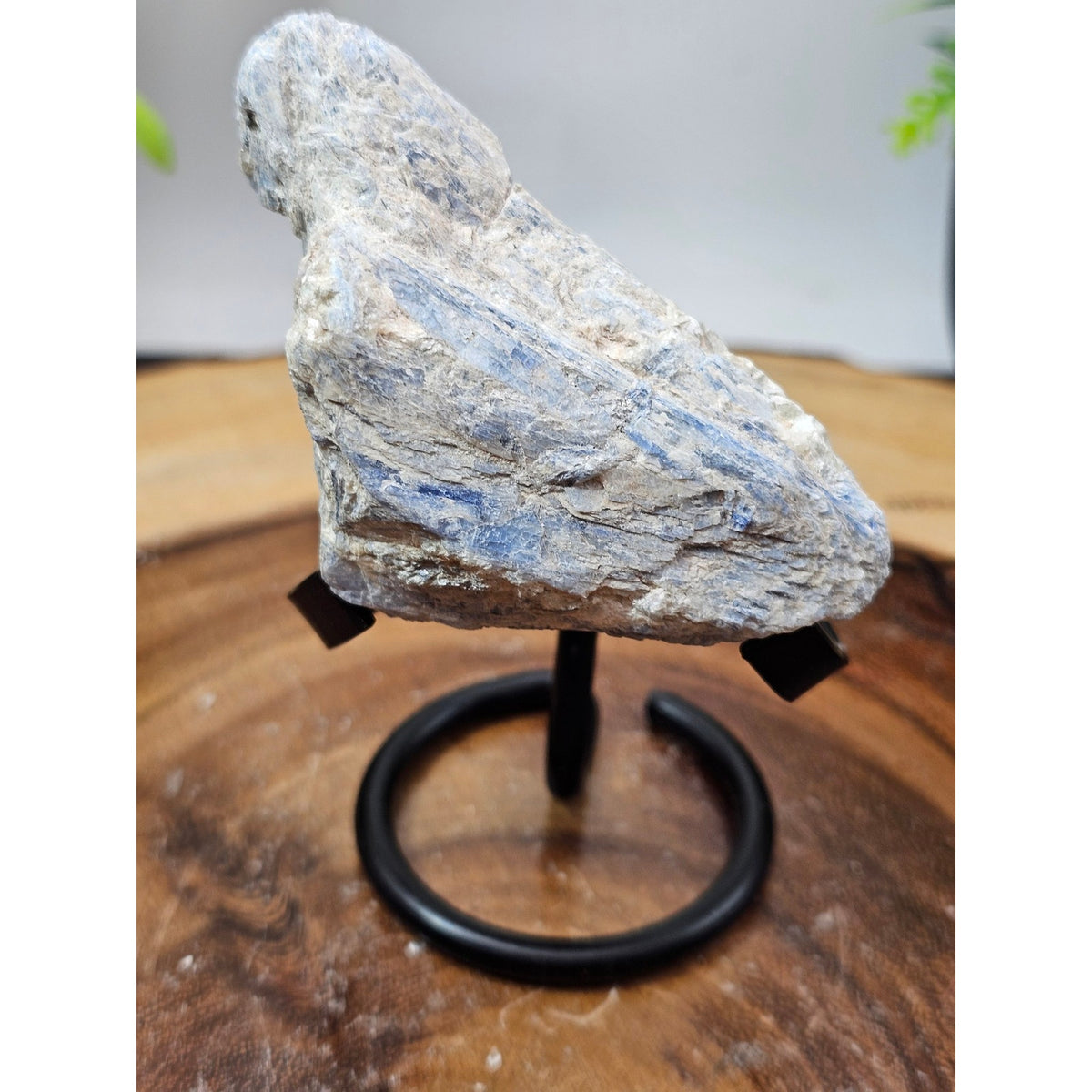 Blue Kyanite Raw Crystal Specimen on Metal Stand