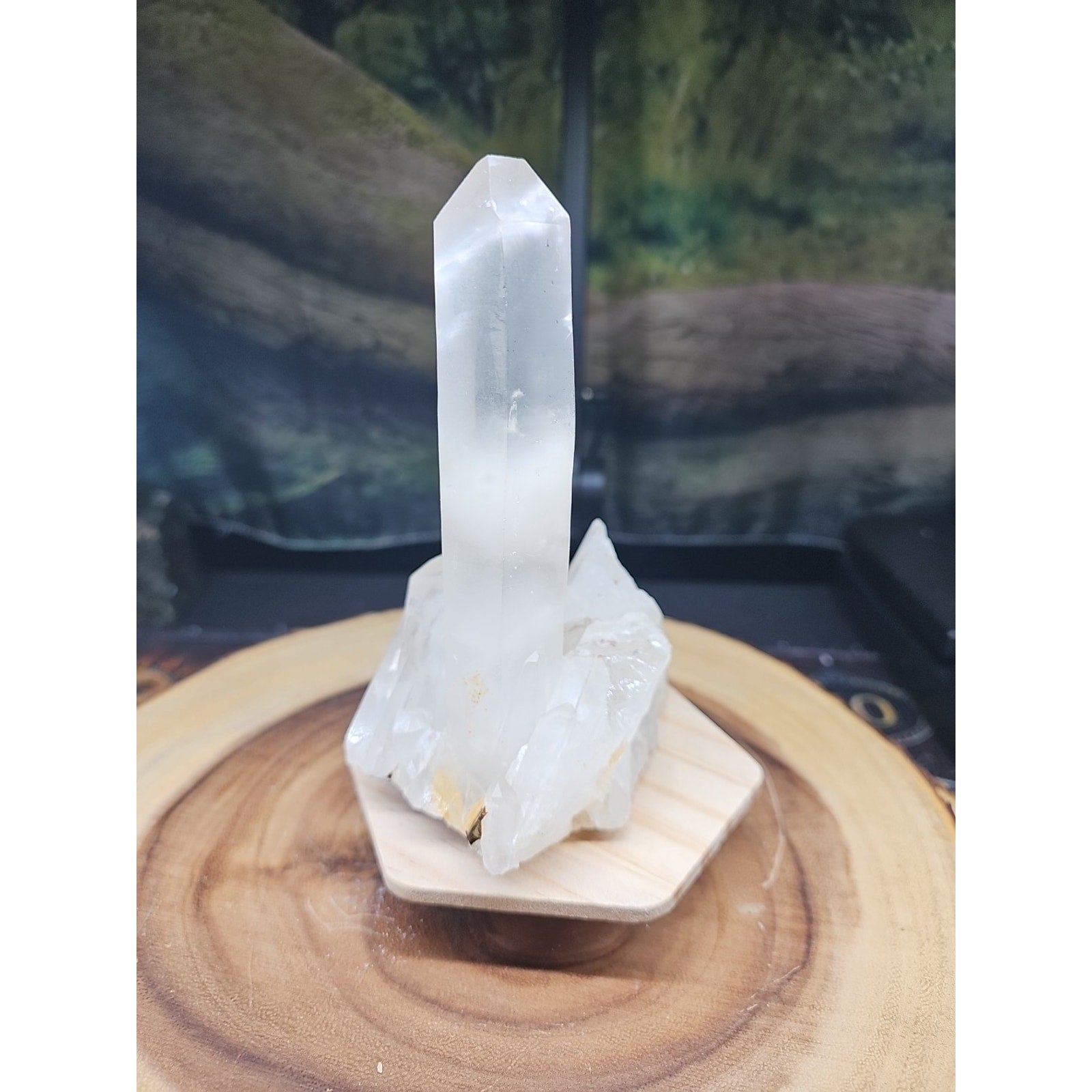 1.28LB Natural Clear White Quartz Crystal Cluster Energy Healing Specimen by CrystalCloud Company