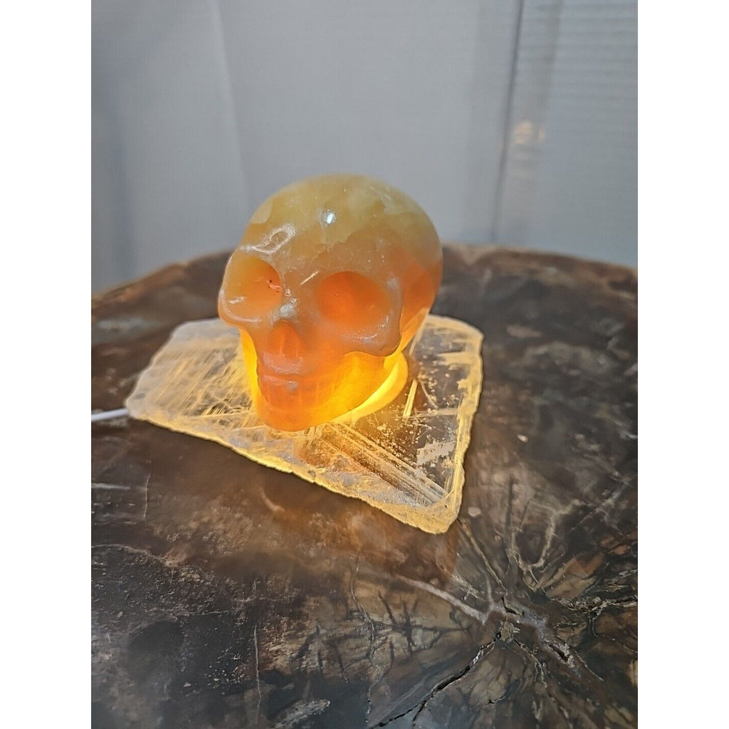 1.62LB Natural Yellow Translucent Calcite Crystal Skull W/Selenite Base & Led by CrystalCloud Company