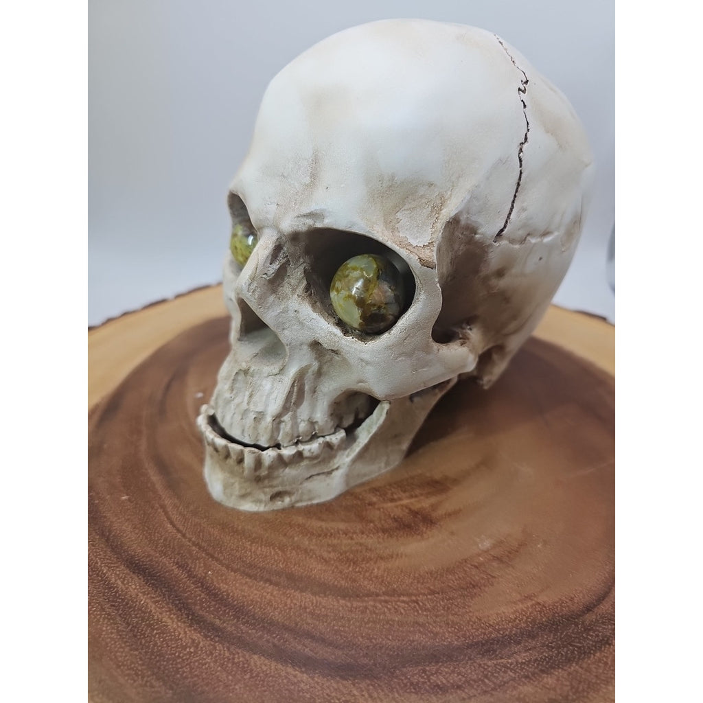 Resin Crystal Skull with Ocean Jasper Quartz Eyes — Collector Art Piece | CrystalCloud Company by CrystalCloud Company