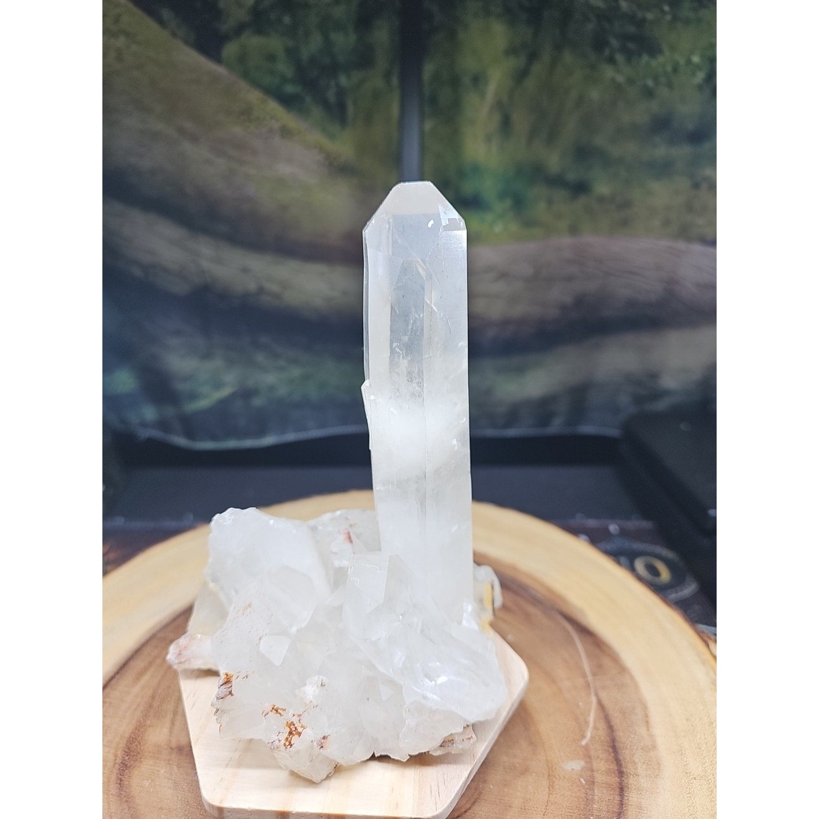 1.28LB Natural Clear White Quartz Crystal Cluster Energy Healing Specimen by CrystalCloud Company