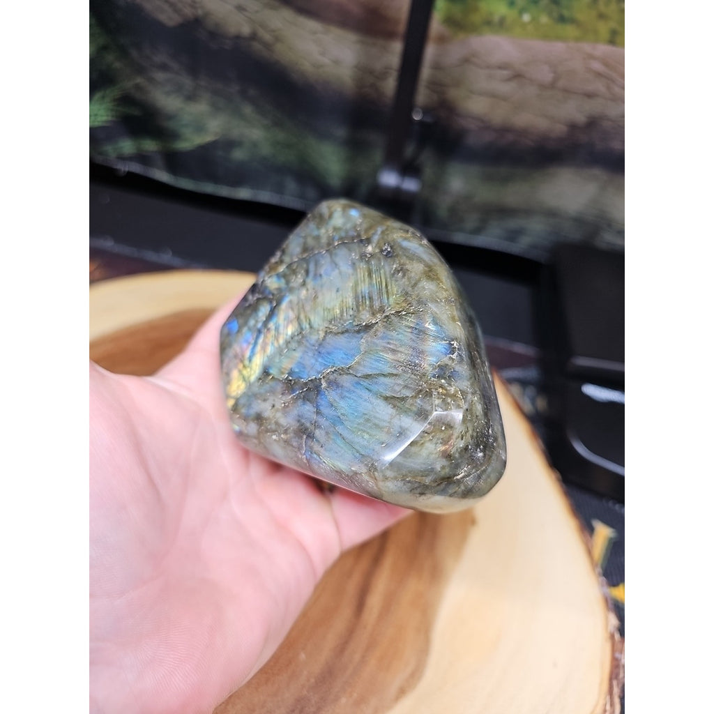 1.48LB 1Pcs Natural Rainbow Labradorite Crystal Spectrolite Stone by CrystalCloud Company