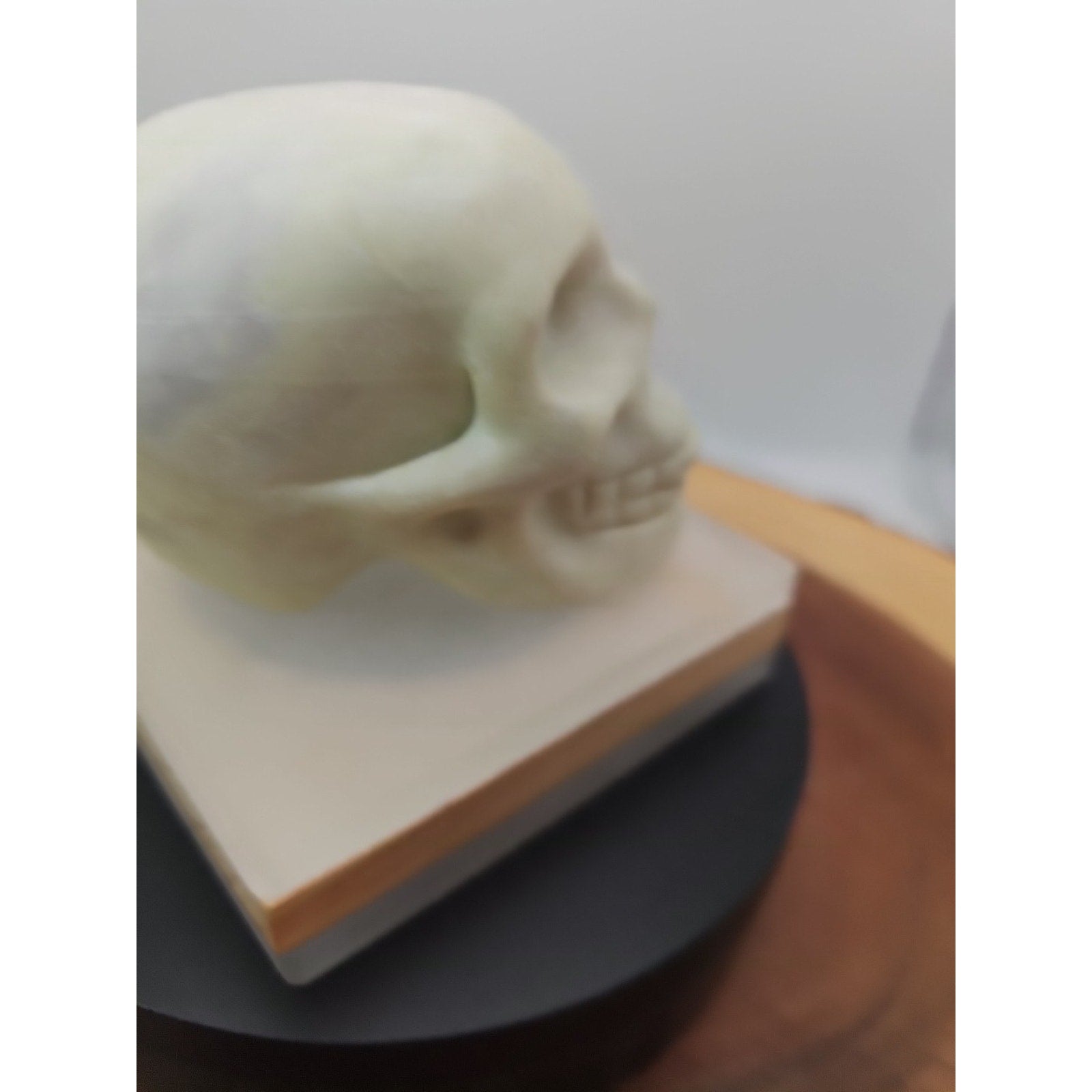 1.14lb Natural Jasper Calcite Skulls Crystal Carving Mixed Stones Healing by CrystalCloud Company