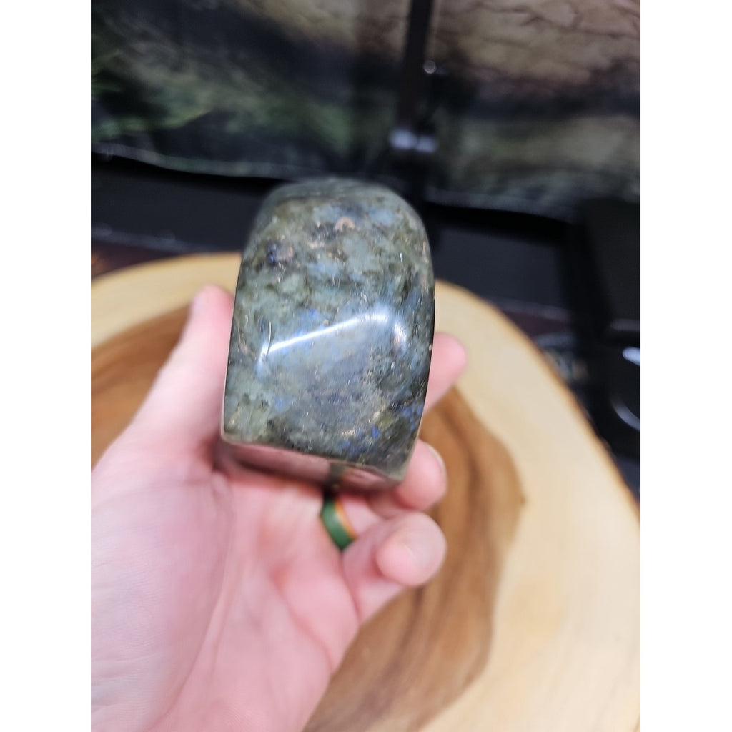 1.45LB 1Pcs Natural Rainbow Labradorite Crystal Spectrolite Stone by CrystalCloud Company