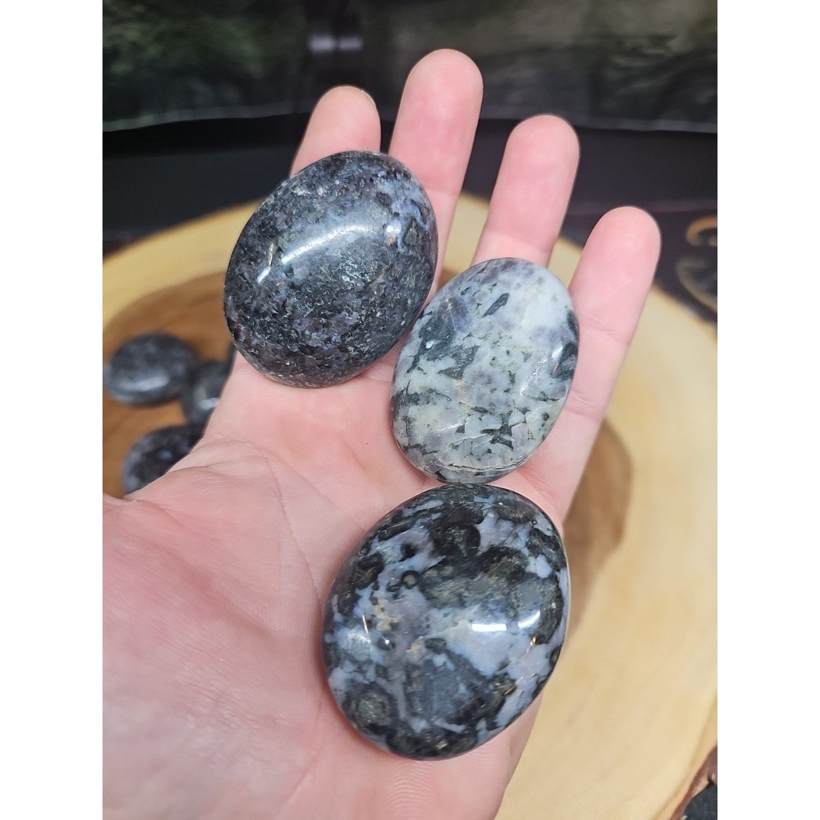 5Pcs Natural Polychrome Merlinite Gabbro Crystal Palm Stone by CrystalCloud Company