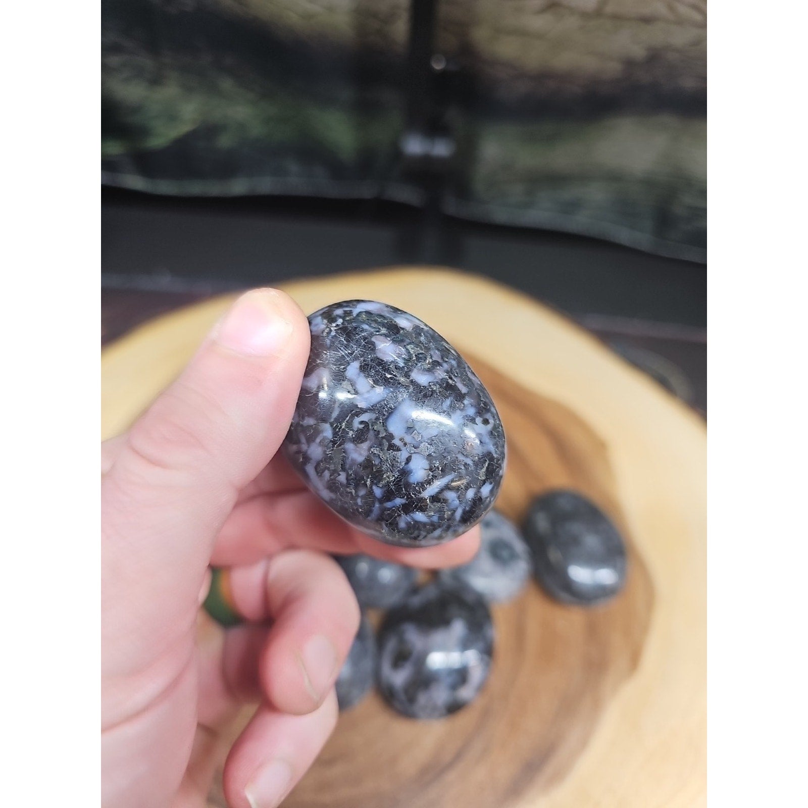 5Pcs Natural Polychrome Merlinite Gabbro Crystal Palm Stone by CrystalCloud Company
