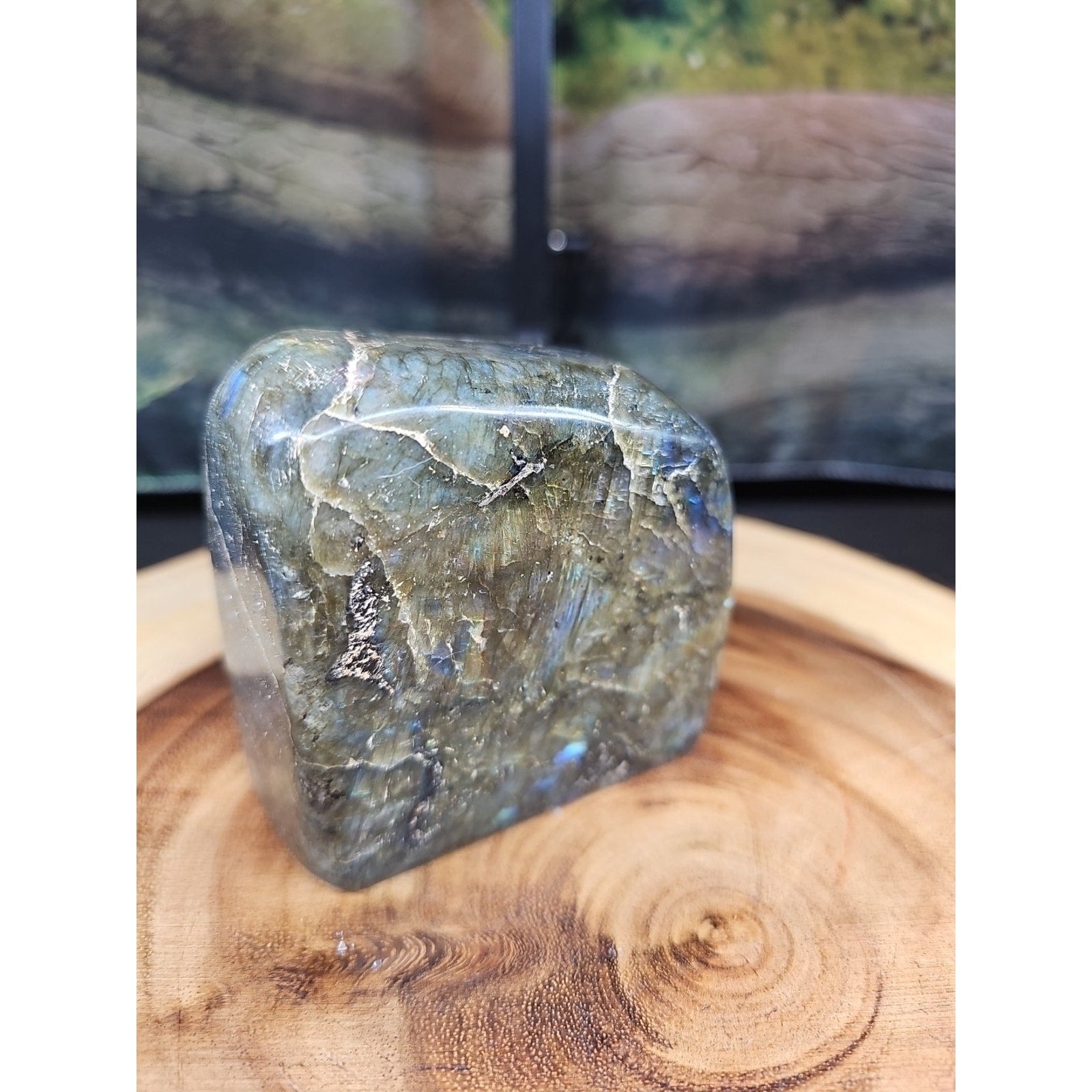 1.60lbs Natural Rainbow Labradorite Crystal Gem Spectrolite Stone by CrystalCloud Company