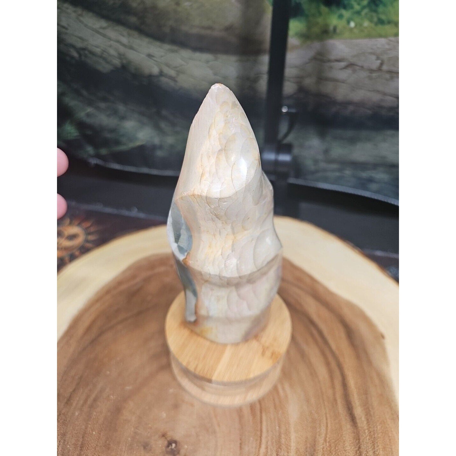 1.20LB 1Pcs Natural Polychrome Ocean Jasper Crystal Flame Point Carved Healing by CrystalCloud Company