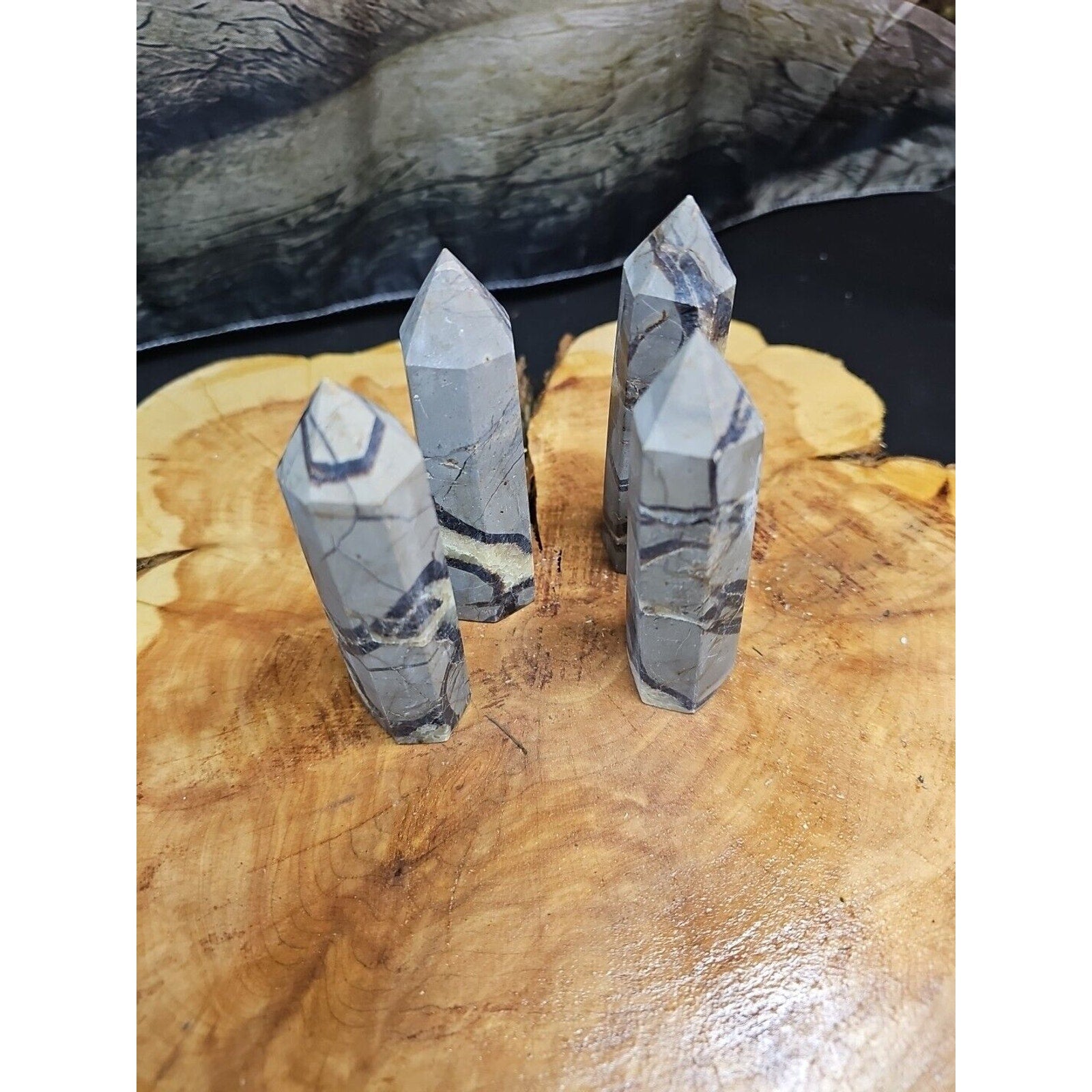 Dragon Septarian Geode Cluster Set — 1 lb, 4 Pieces from Madagascar | CrystalCloud Company by CrystalCloud Company