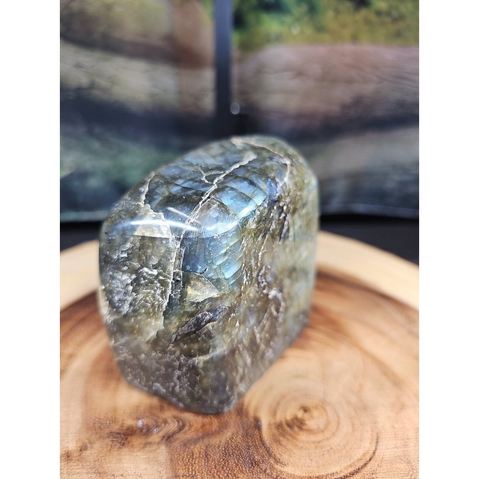 1.60lbs Natural Rainbow Labradorite Crystal Gem Spectrolite Stone by CrystalCloud Company