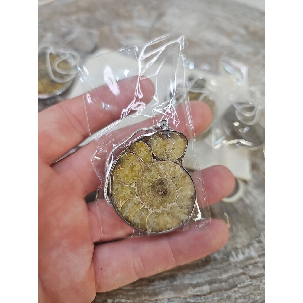 Ammonite Necklace Handmade 1 Pcs With 18in Silver Chain by CrystalCloud Company