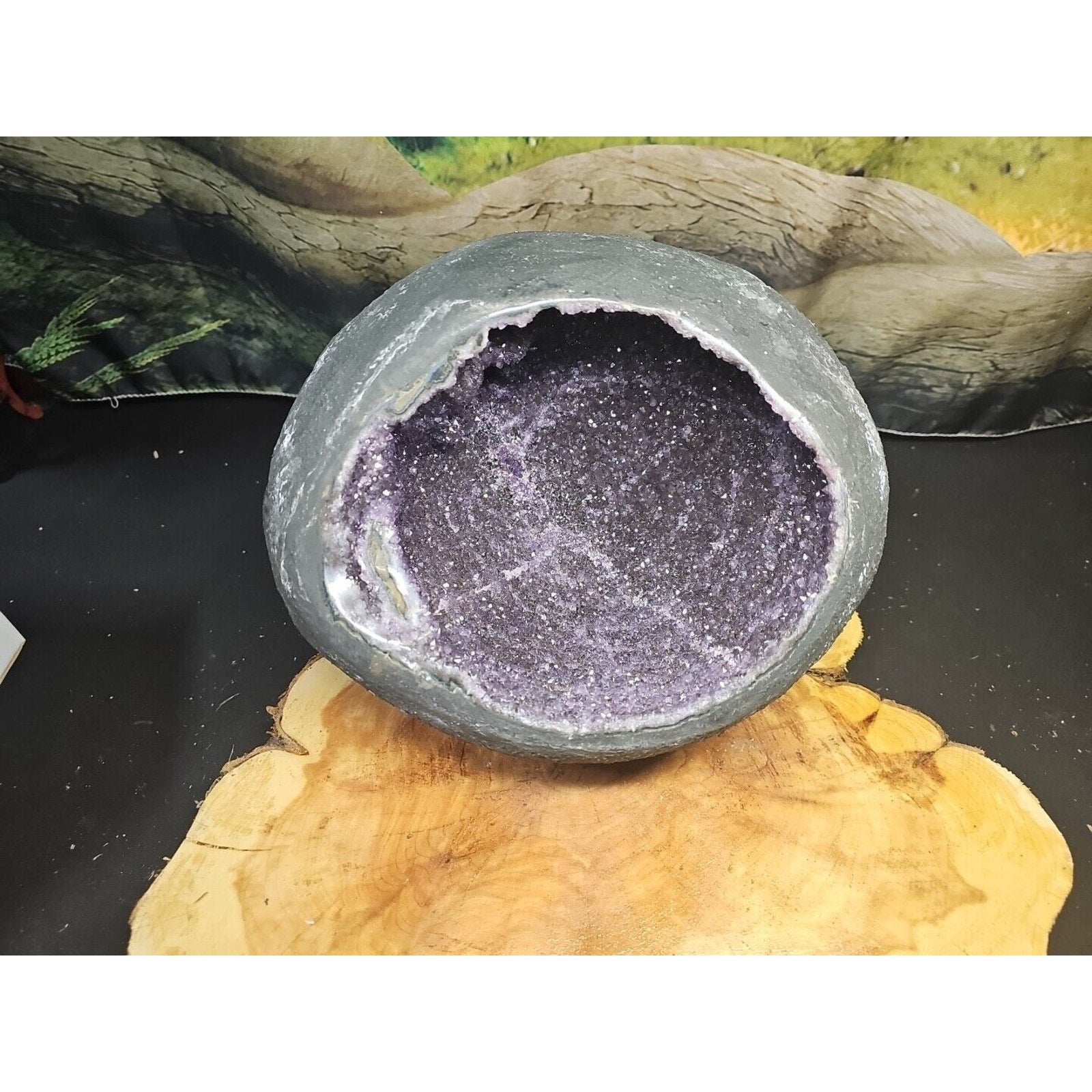 16.8LB TOPNatural Raw raw ore amethyst Quartz Crystal Money Bag Geode Reiki Gem by CrystalCloud Company