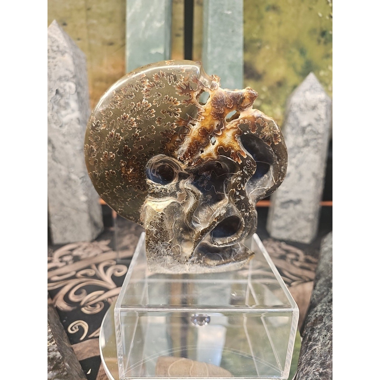 1.32LB Rare! Natural Tentacle Ammonite FossilSpecimen Shell Healing Madagascar by CrystalCloud Company