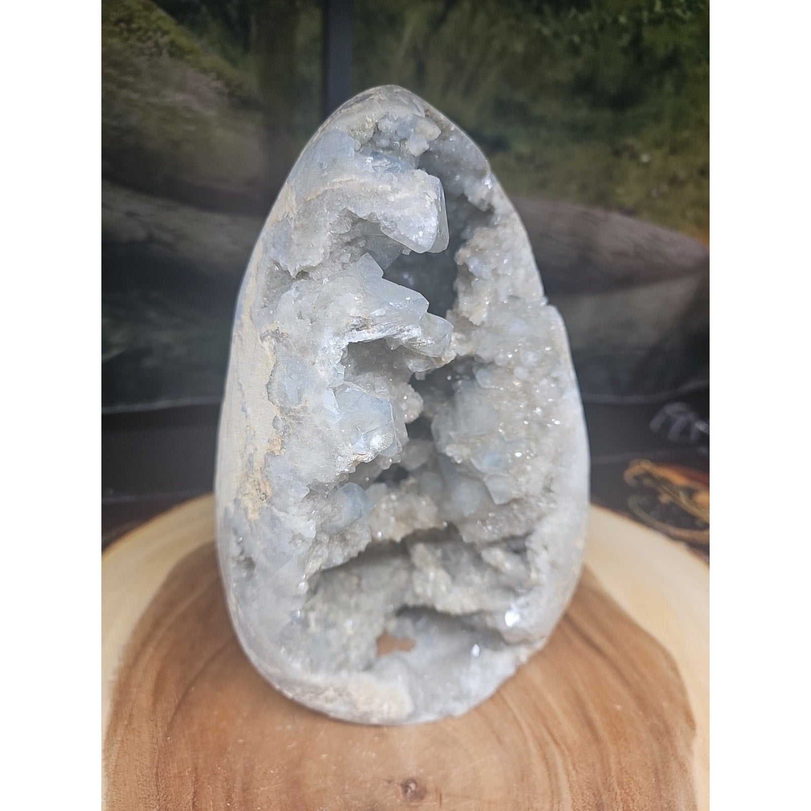 Large Baby Blue Celestite Geode Cluster — 13.6 lbs, 8 inches, Brazil | CrystalCloud Company by CrystalCloud Company