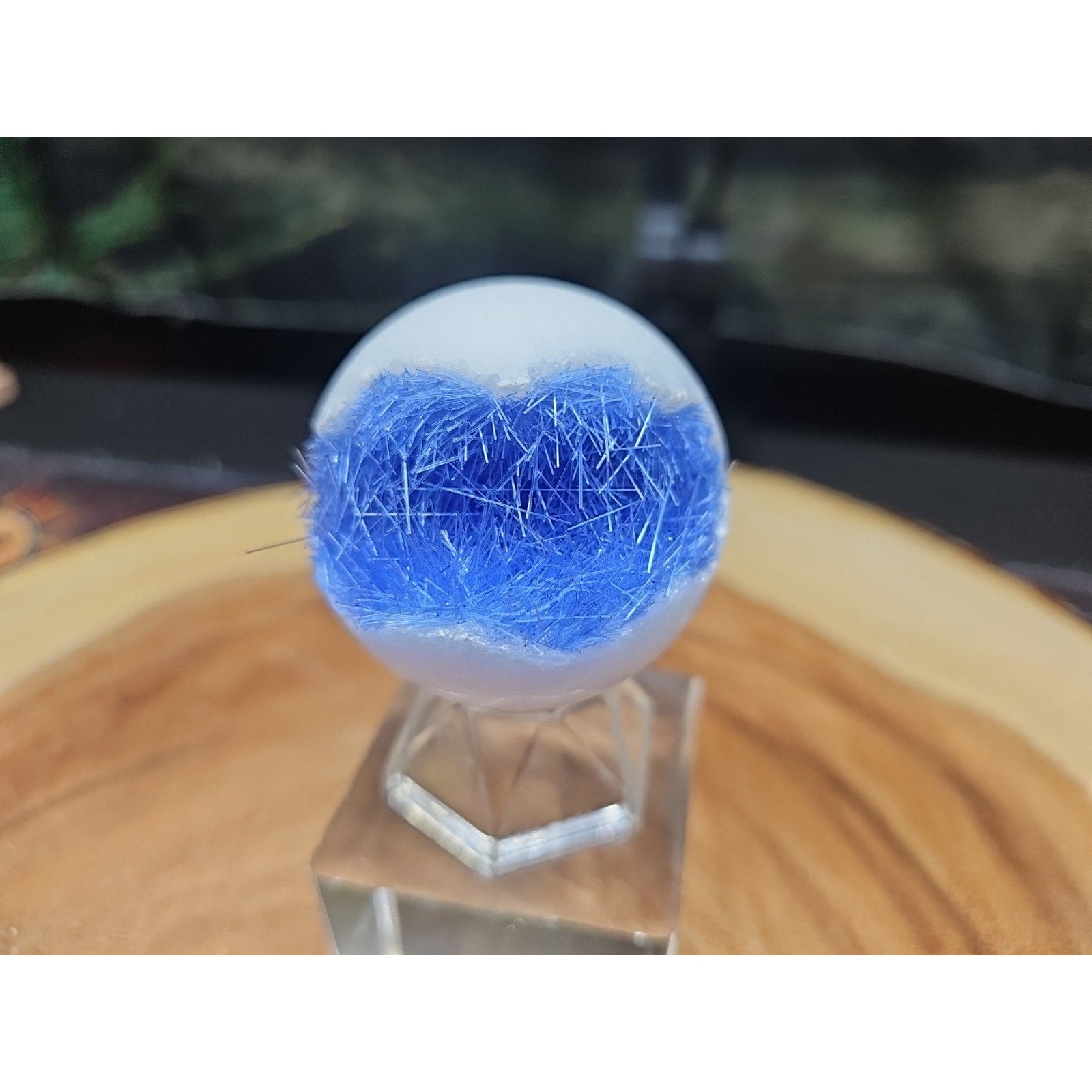 Magnesium phosphate Sphere W/Stand 154g 50mm by CrystalCloud Company