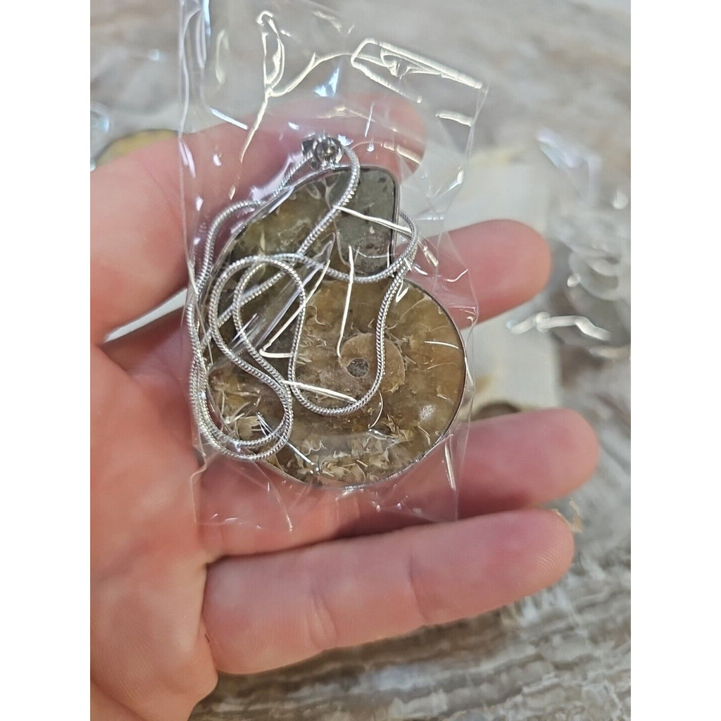Ammonite Necklace Handmade 1 Pcs With 18in Silver Chain by CrystalCloud Company