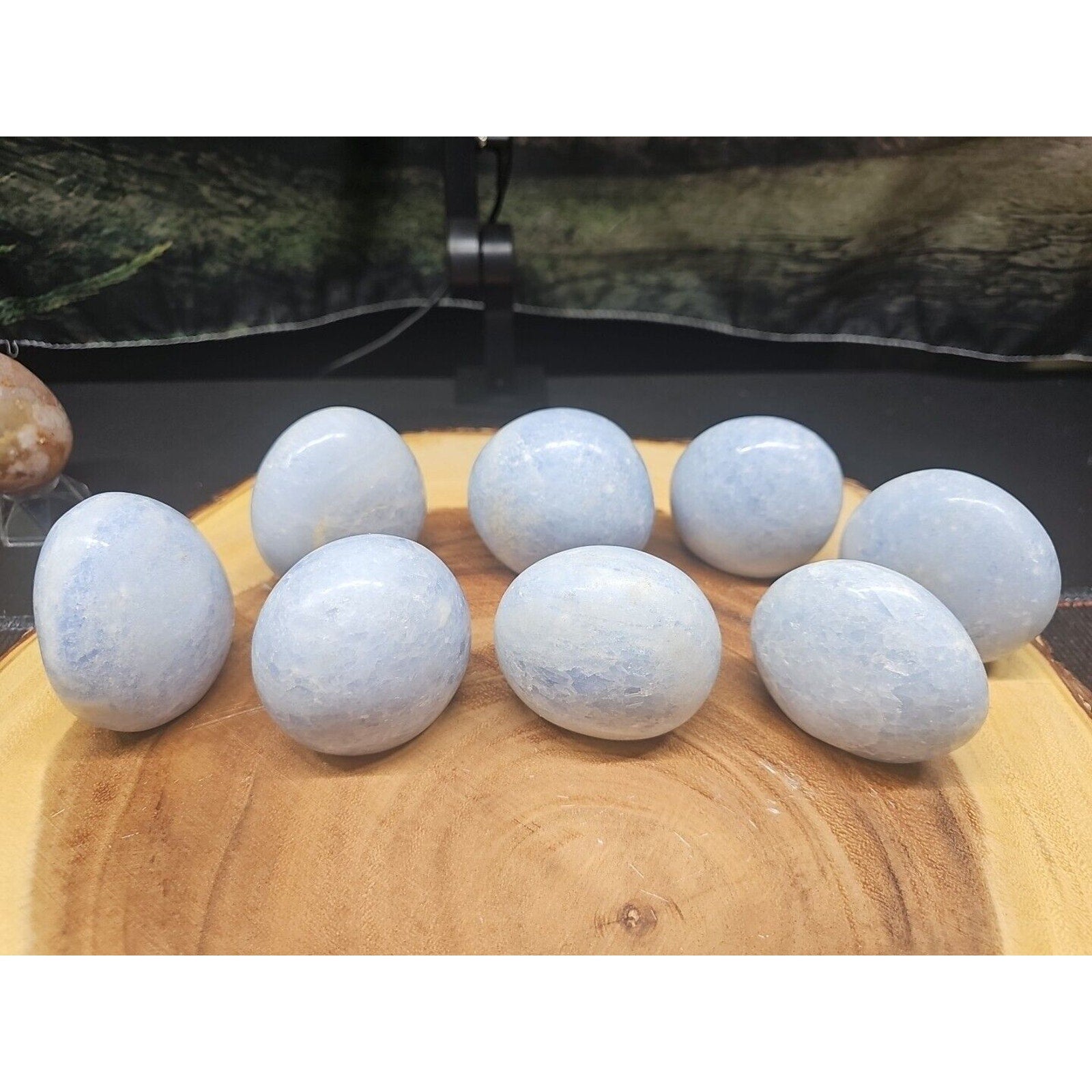 Baby Blue Celestite Crystal Palm Stones — 1 lb, 2-Piece Set from Brazil | CrystalCloud Company by CrystalCloud Company