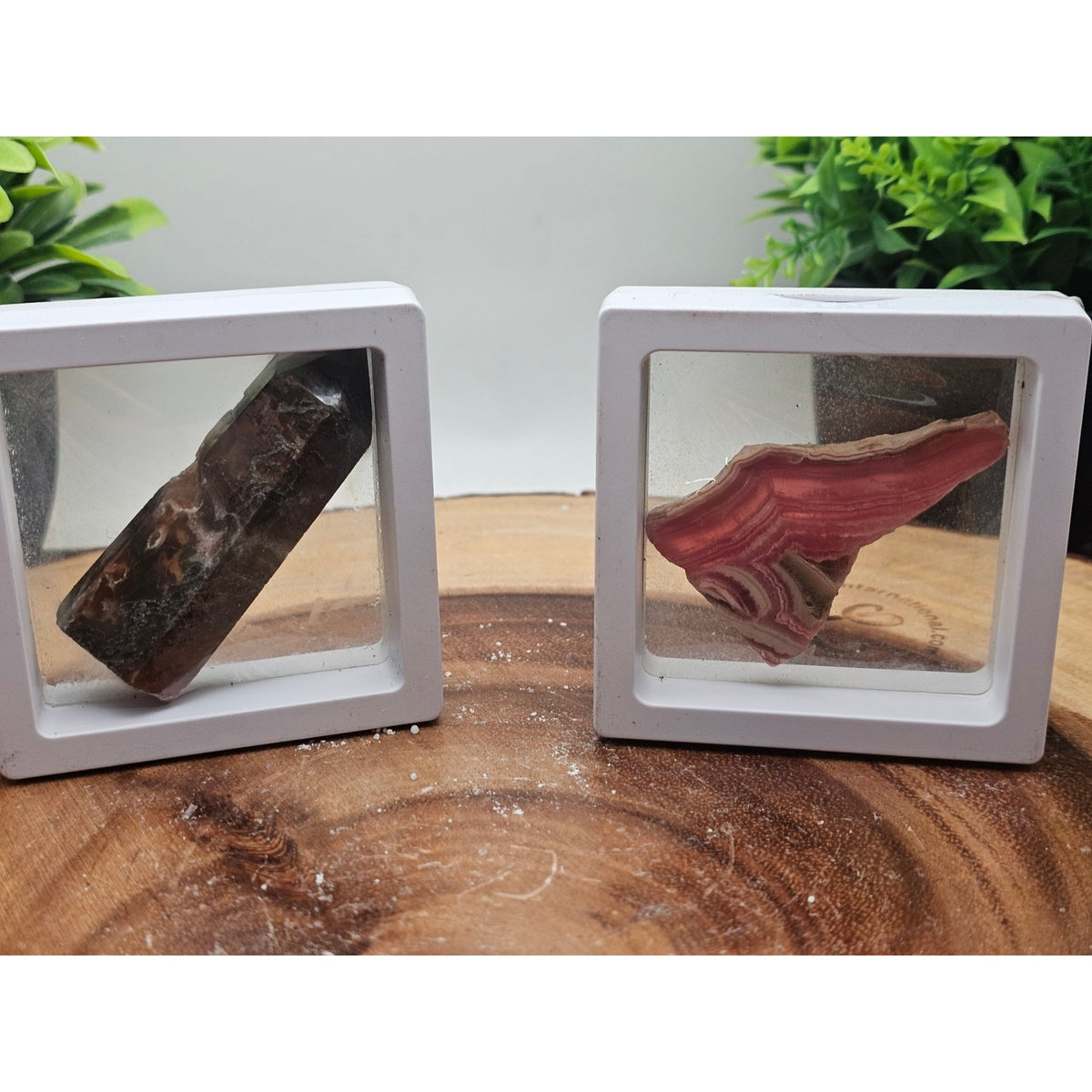 Moss Agate and Pink Banded Stone Set in Floating Display Frames
