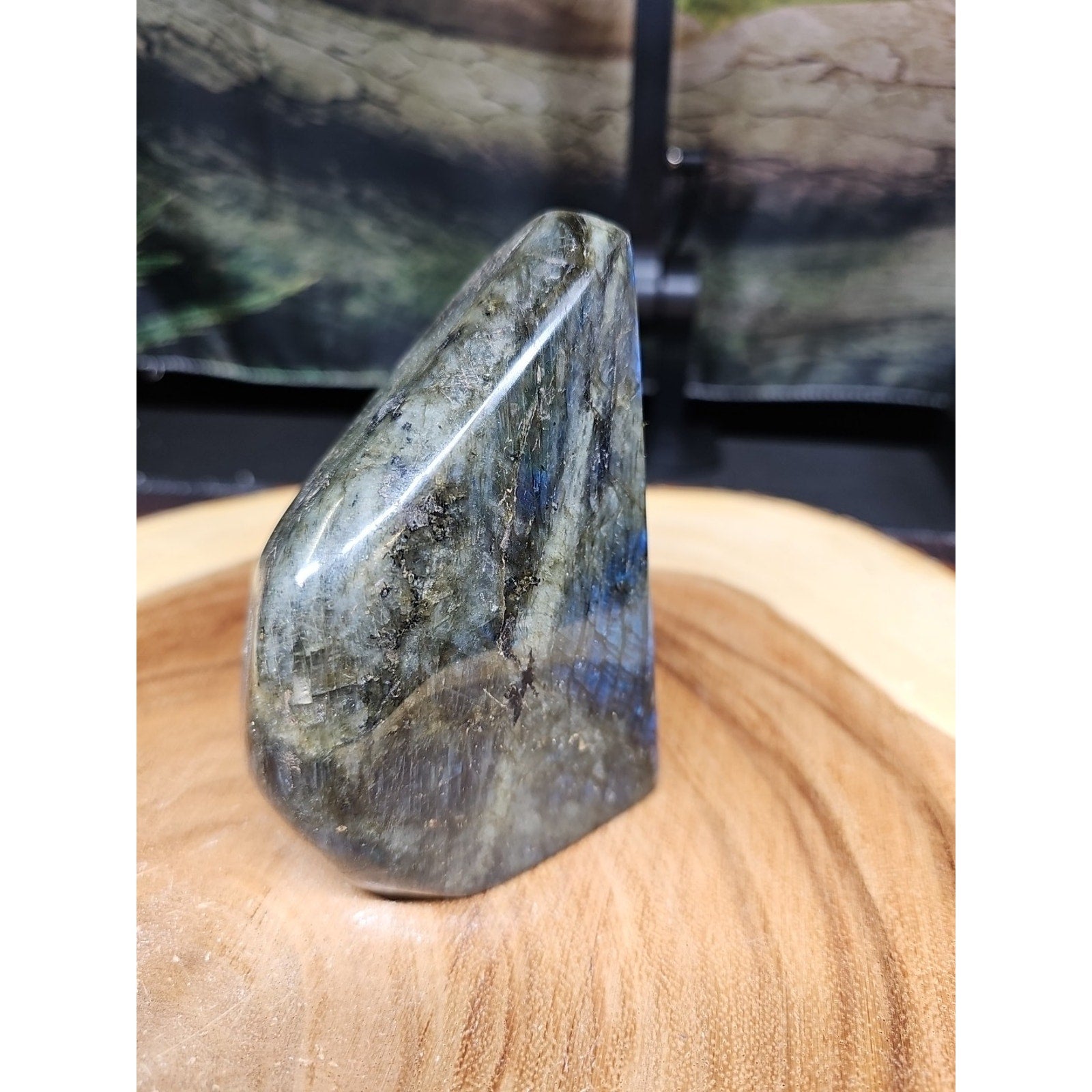 1.45LB 1Pcs Natural Rainbow Labradorite Crystal Spectrolite Stone by CrystalCloud Company
