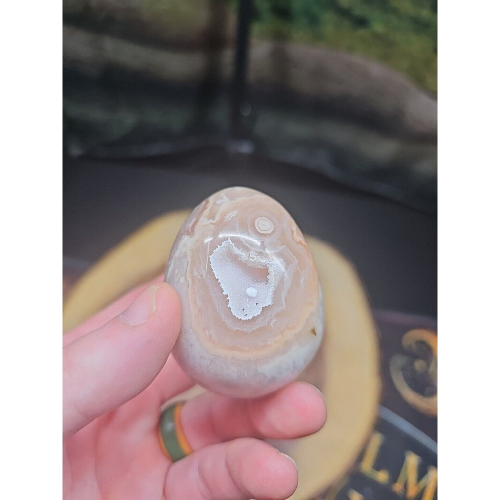 1lb 2pcs Natural Phantom Flower Carnelian Agate Crystal Geode Egg Carved Healing by CrystalCloud Company
