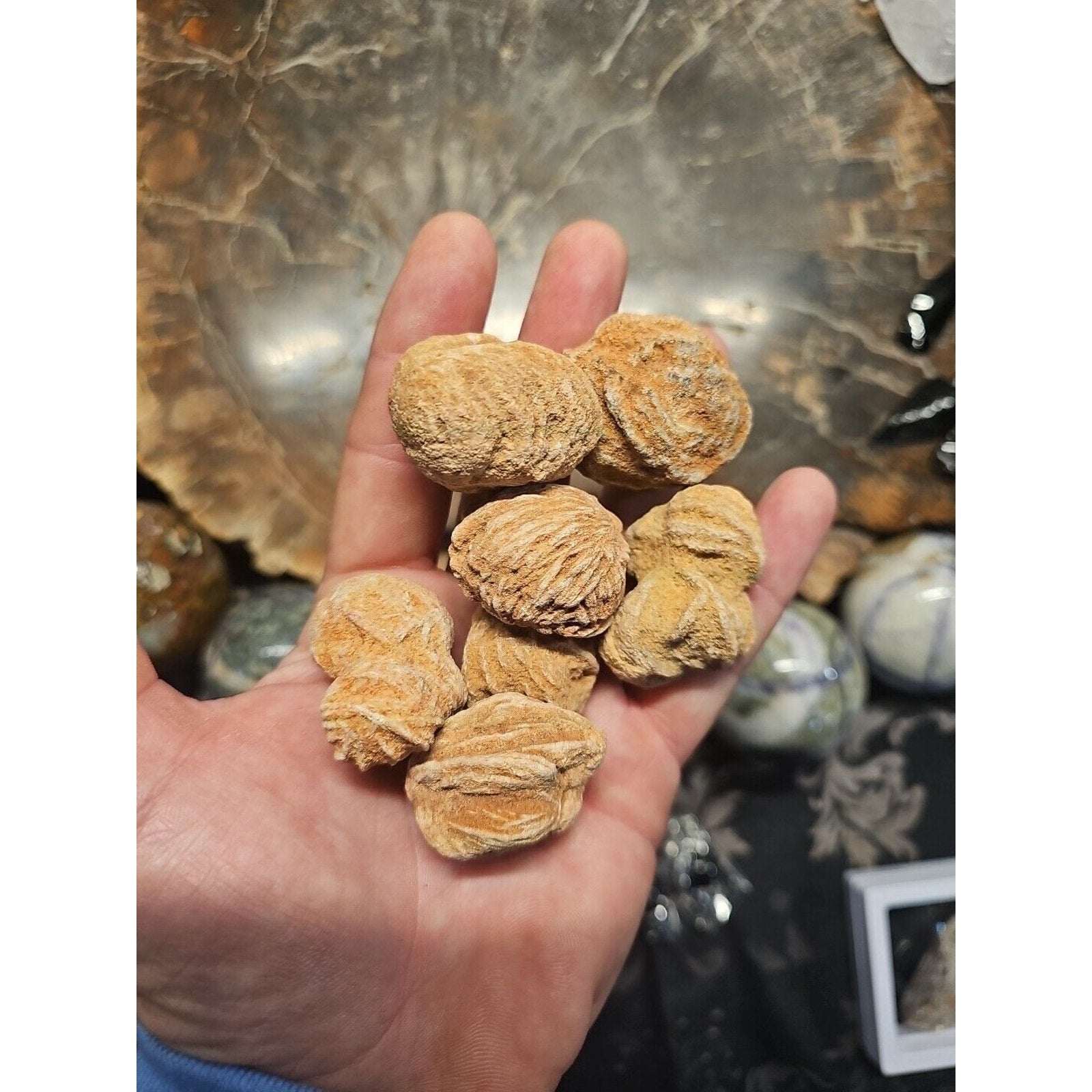 Desert Rose Stones by CrystalCloud Company
