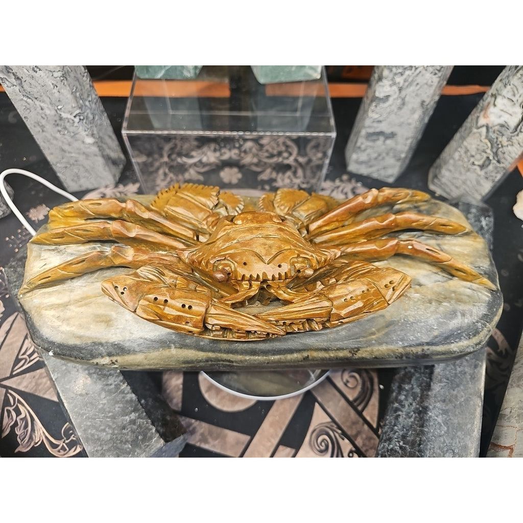 9.44LB Natural Mao Gong shi crab skull hand carved crystal specimen healing by CrystalCloud Company