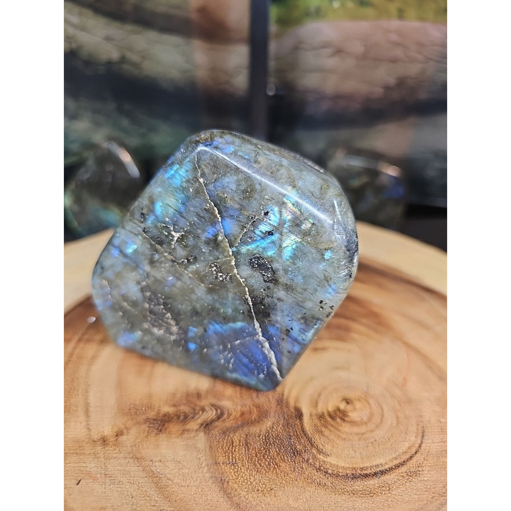 1.29lb Natural Rainbow Labradorite Crystal Gem Spectrolite Stone by CrystalCloud Company