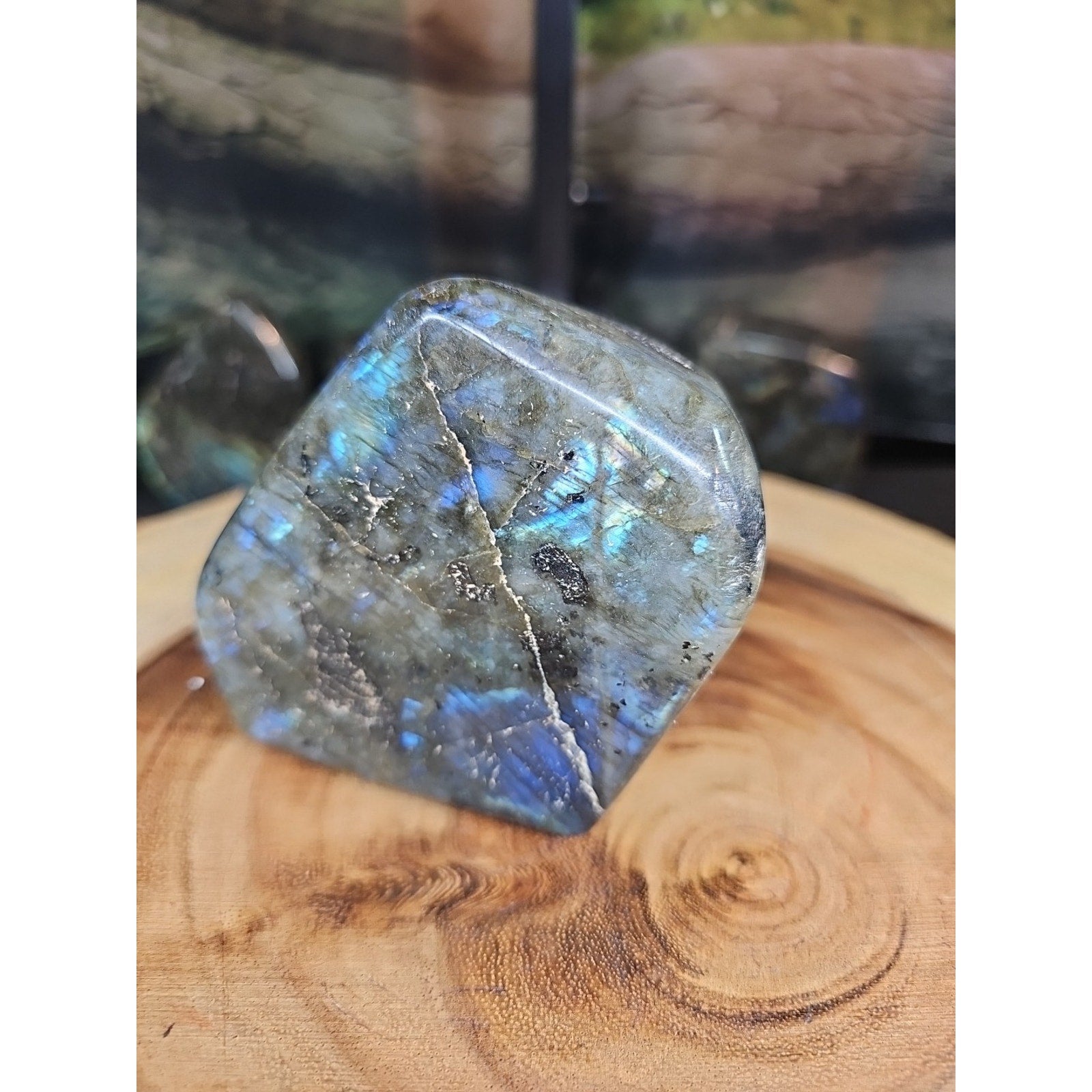 1.29lb Natural Rainbow Labradorite Crystal Gem Spectrolite Stone by CrystalCloud Company