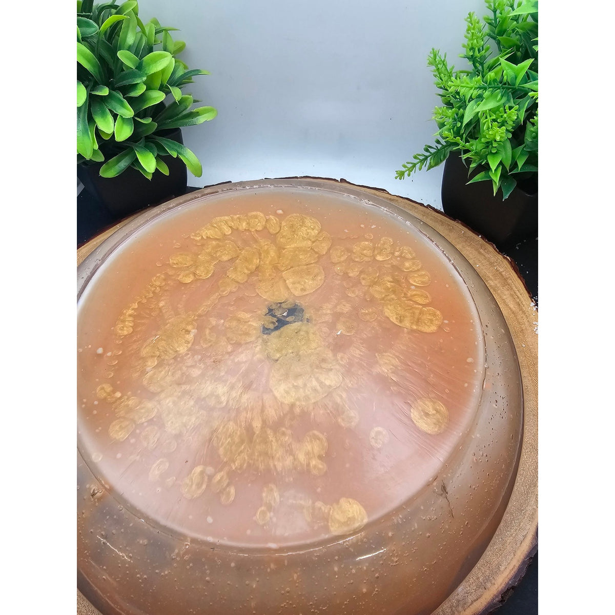 Handmade Resin Bowl Peach Gold Swirl One of a Kind
