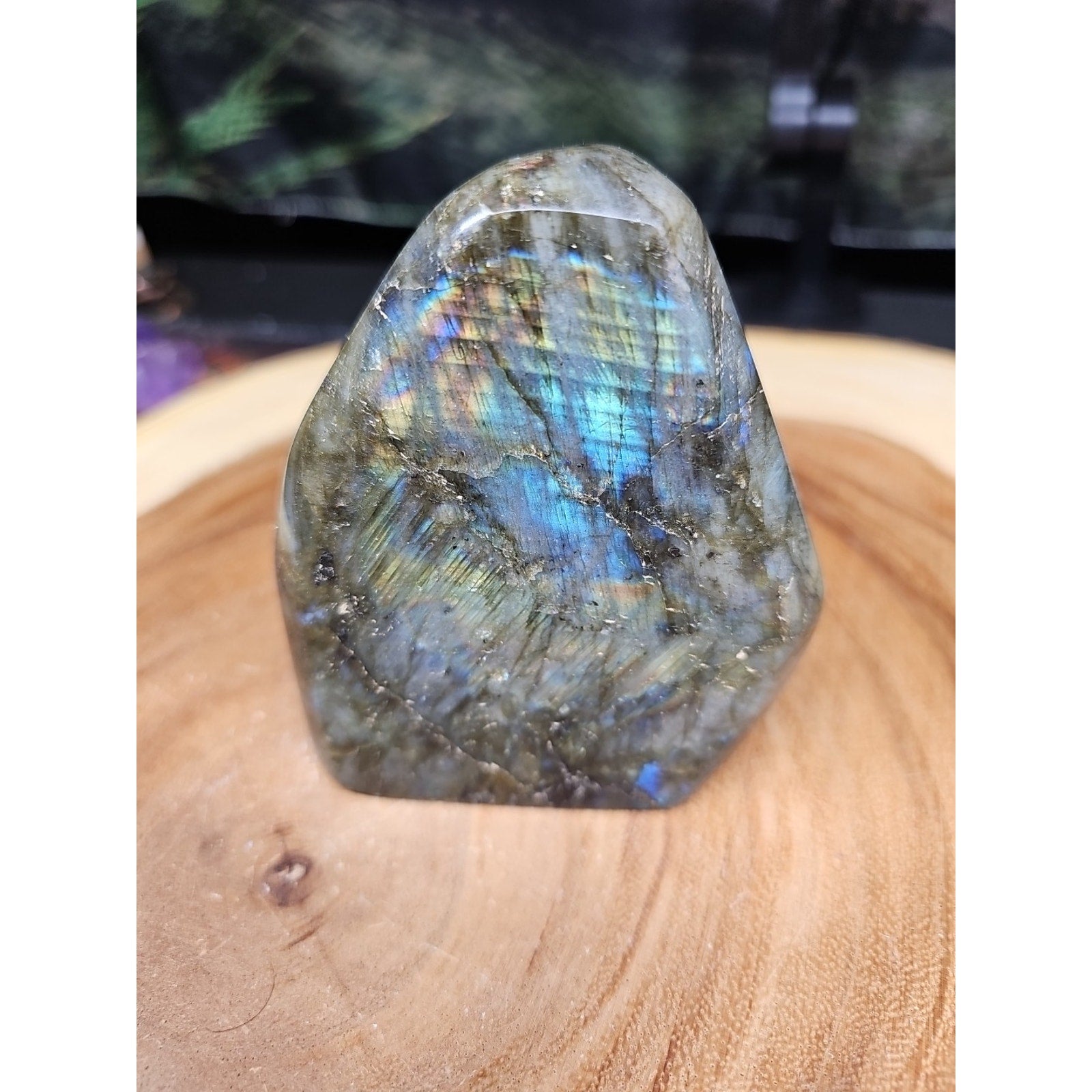 1.48LB 1Pcs Natural Rainbow Labradorite Crystal Spectrolite Stone by CrystalCloud Company