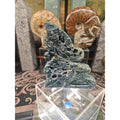 Moss Agate Fairy Guardian .77lb by CrystalCloud Company