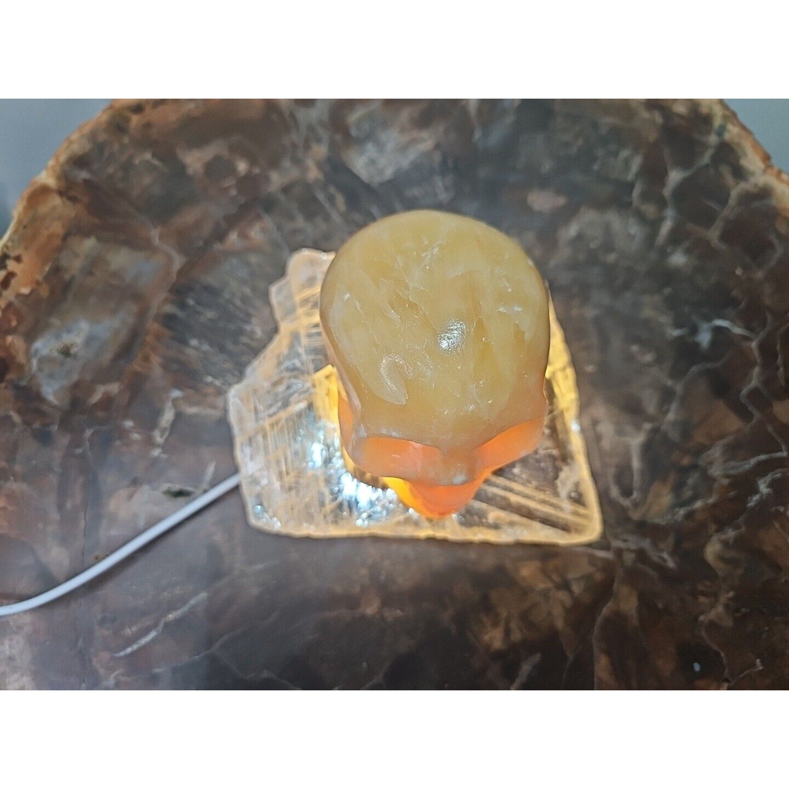1.62LB Natural Yellow Translucent Calcite Crystal Skull W/Selenite Base & Led by CrystalCloud Company