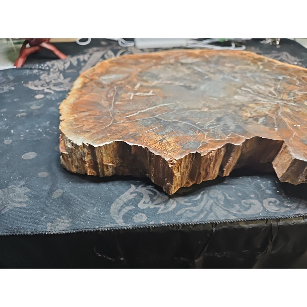27.3 lb Fossil Wood Quartz Hedgehog Sculpture — Artisan Mineral Statement Piece | CrystalCloud Company by CrystalCloud Company