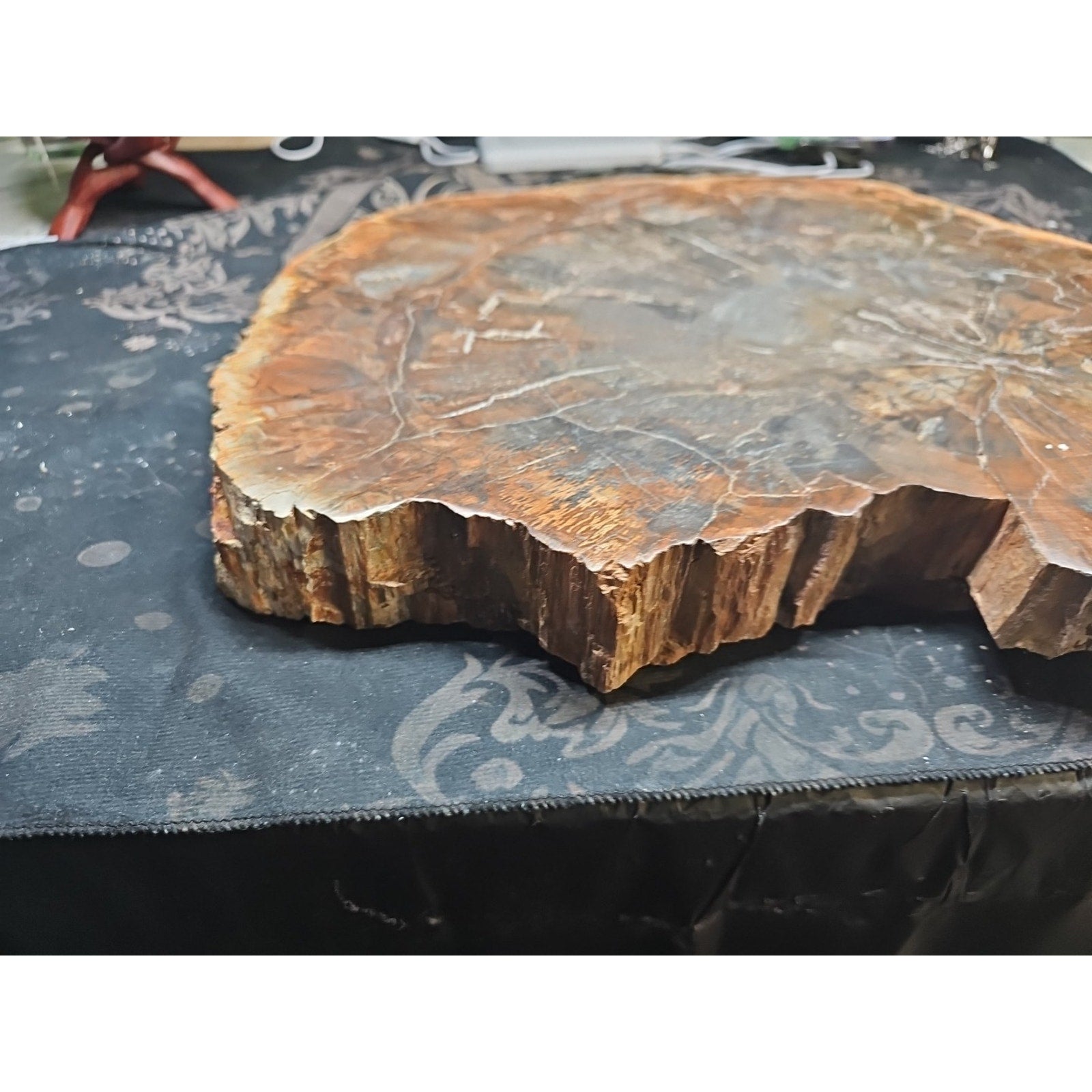 27.3 lb Fossil Wood Quartz Hedgehog Sculpture — Artisan Mineral Statement Piece | CrystalCloud Company by CrystalCloud Company