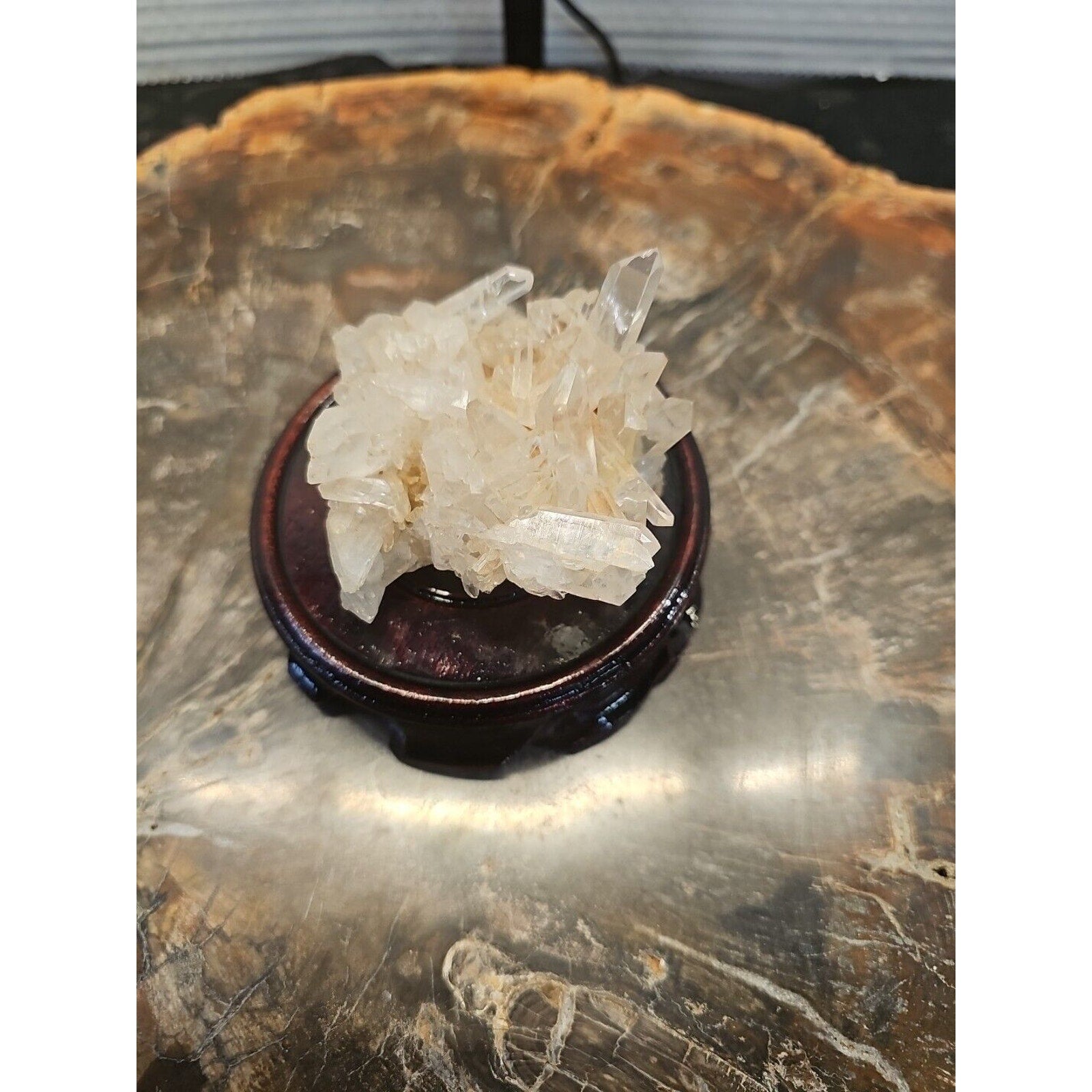 133g Natural Quartz Crystal Cluster with Display Stand - Vitreous Mineral Specimen | CrystalCloud Company by CrystalCloud Company