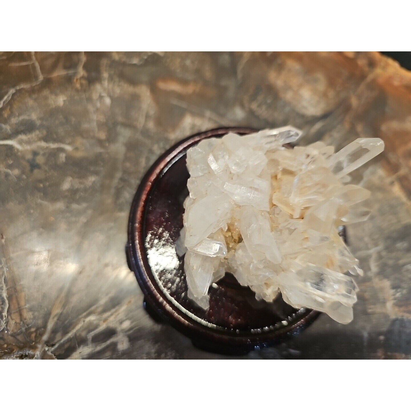 133g Natural Quartz Crystal Cluster with Display Stand - Vitreous Mineral Specimen | CrystalCloud Company by CrystalCloud Company