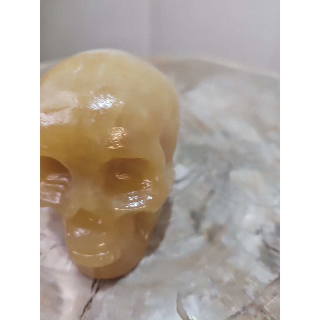 1.48 1Pcs Natural Jasper Calcite Skull Crystal Carving Stones Healing by CrystalCloud Company
