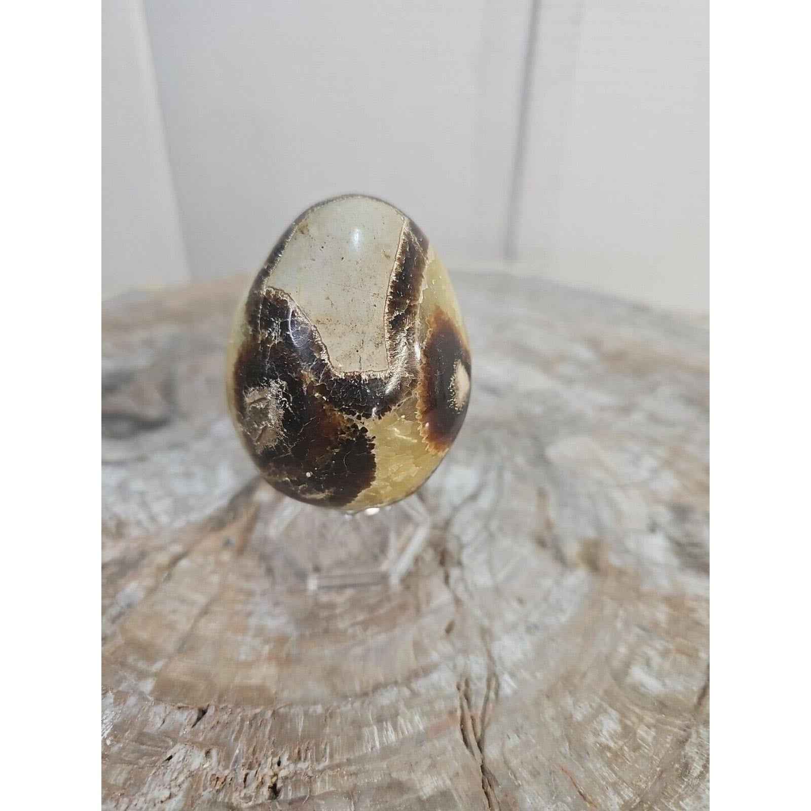 9.0oz Natural Septarian Dragon quartz Crystal egg Mineral Specimen W/Stand by natural